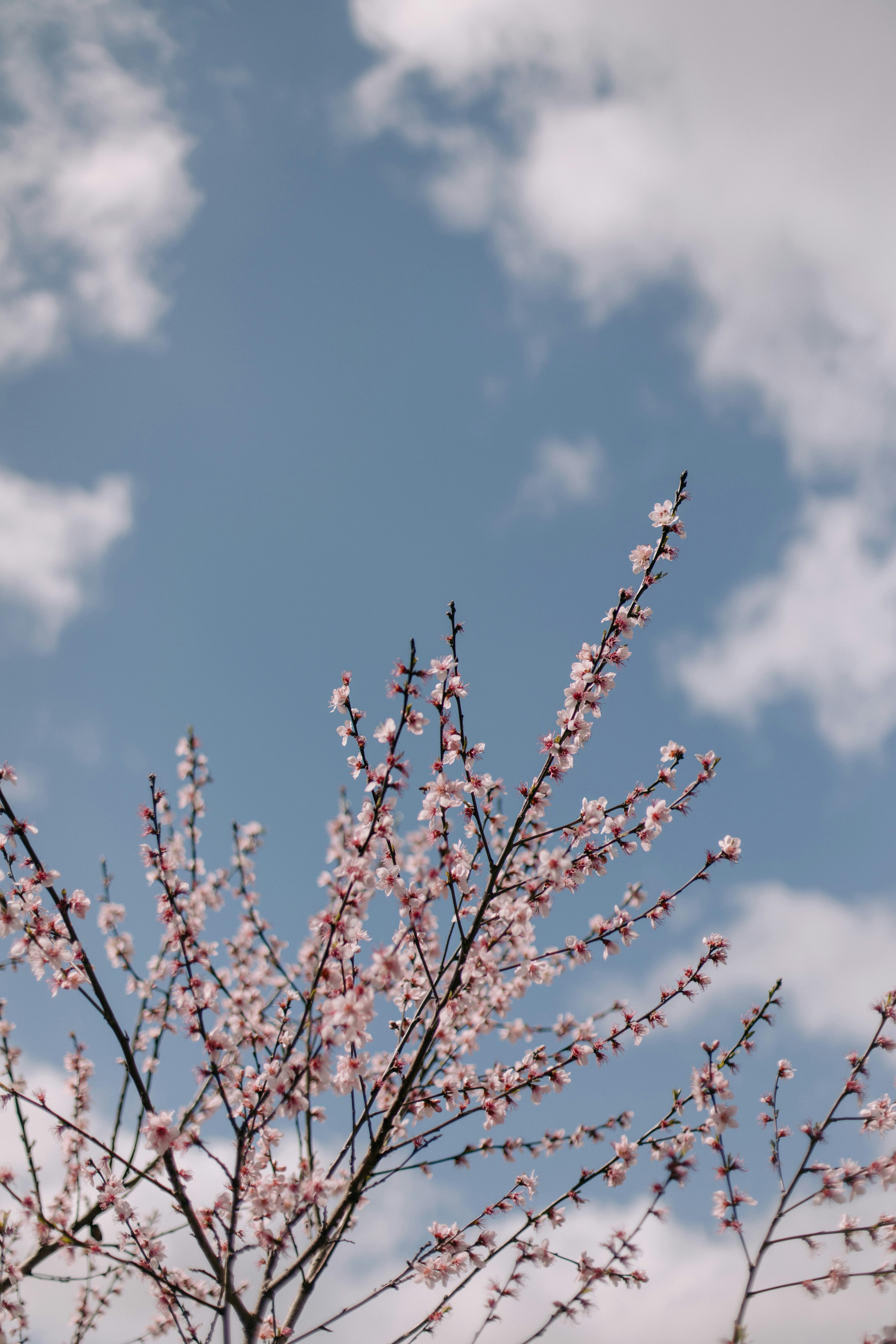 Photo by createinme_nz