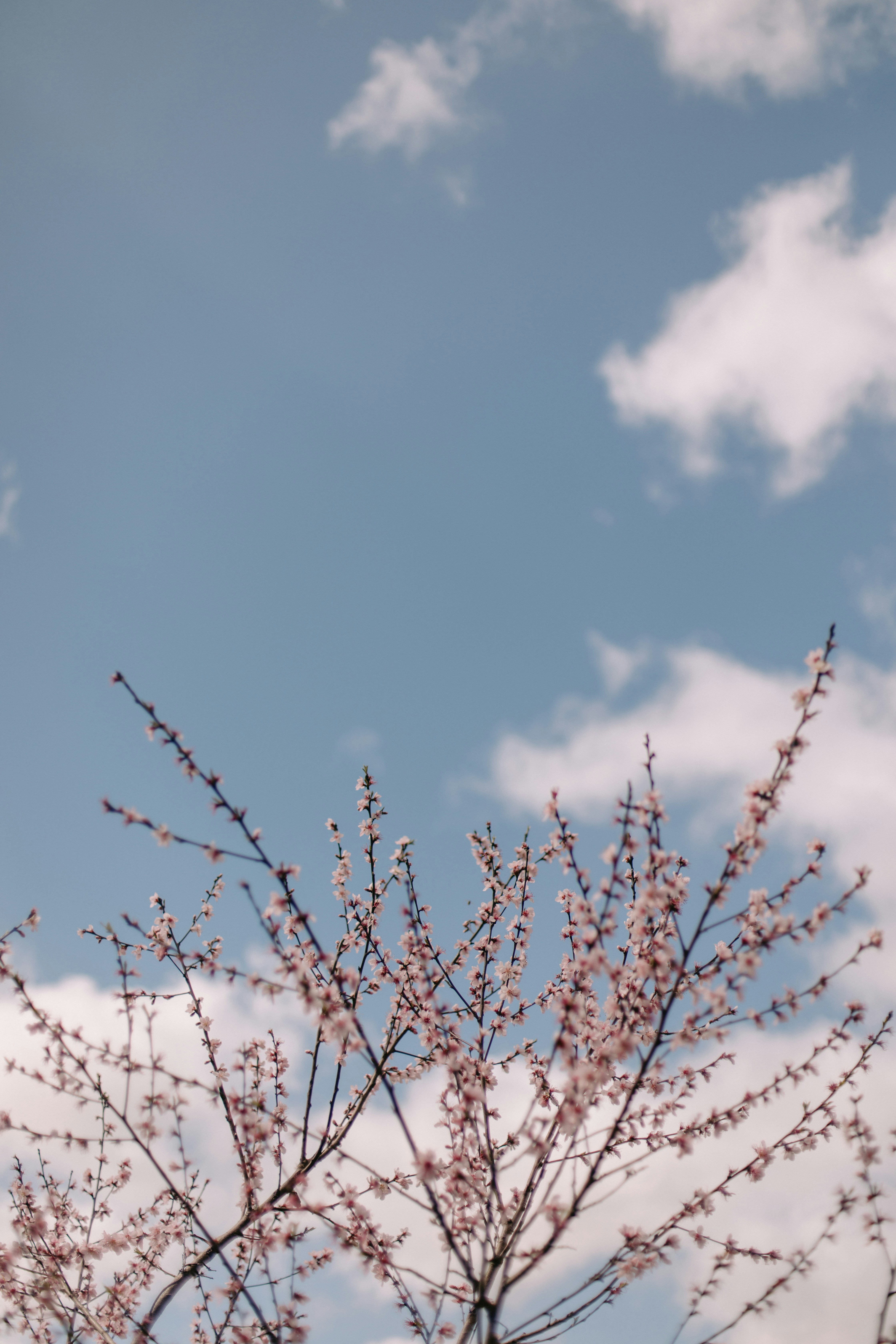 Photo by createinme_nz