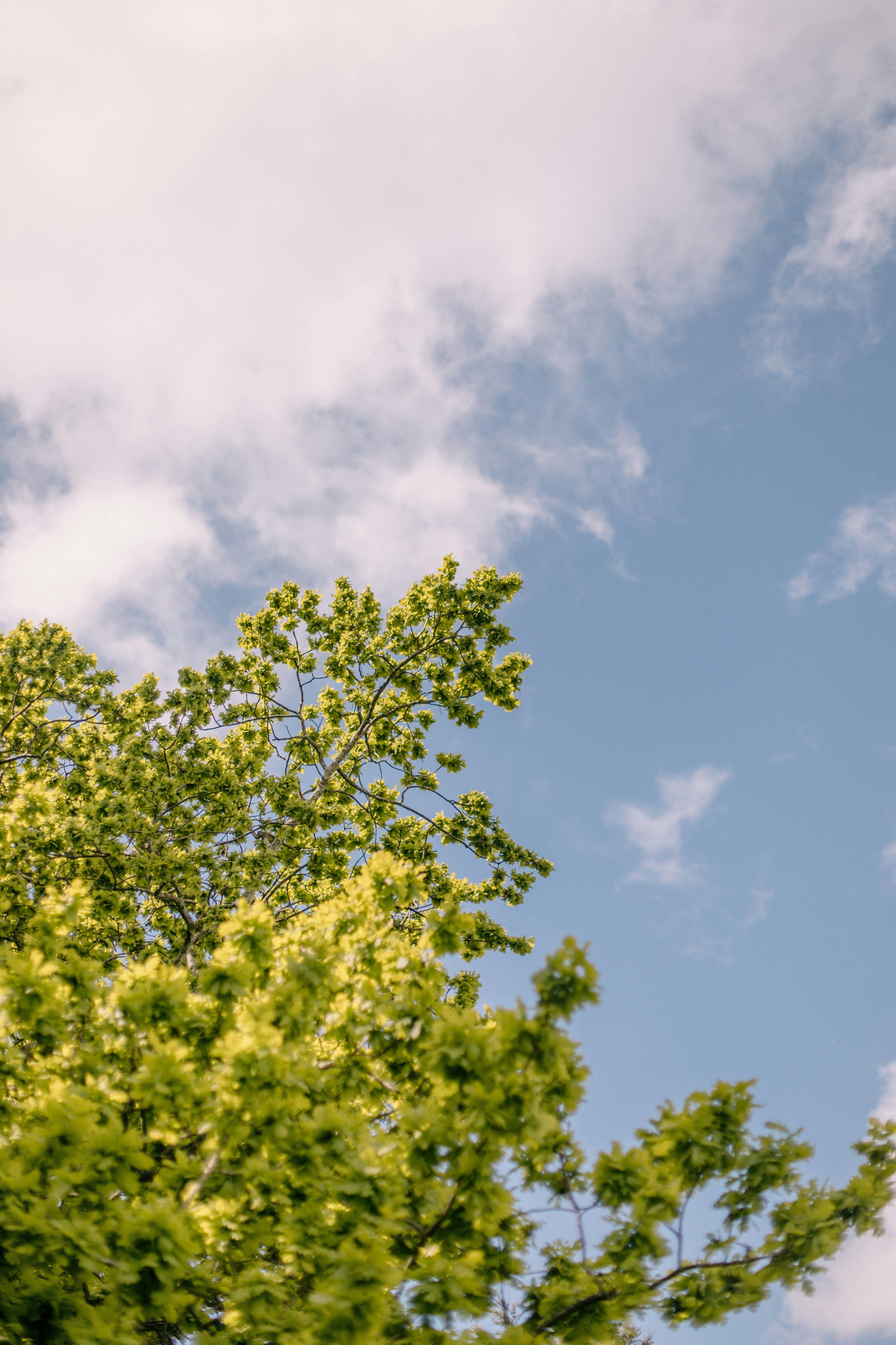 Photo by createinme_nz