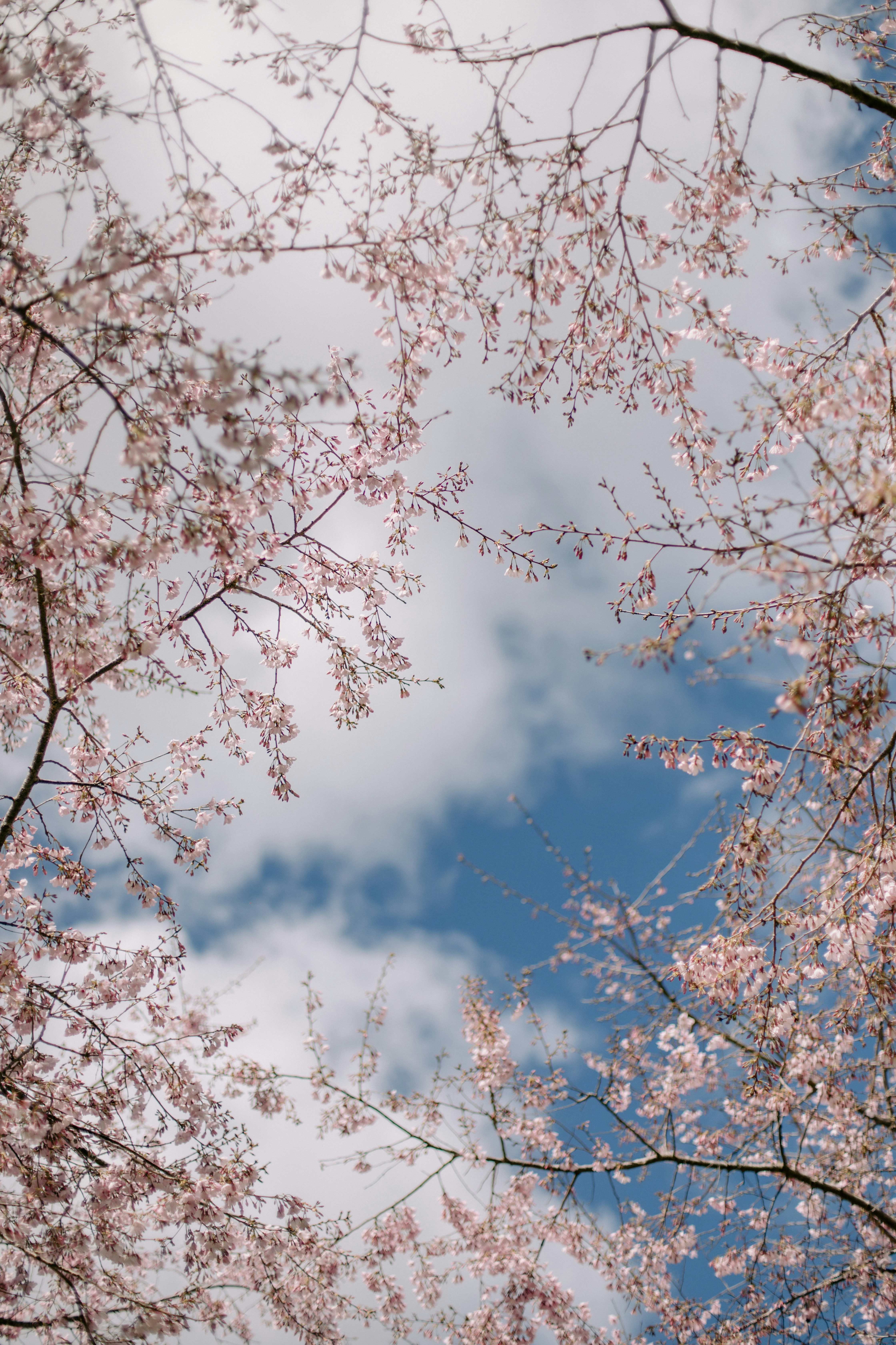 Photo by createinme_nz