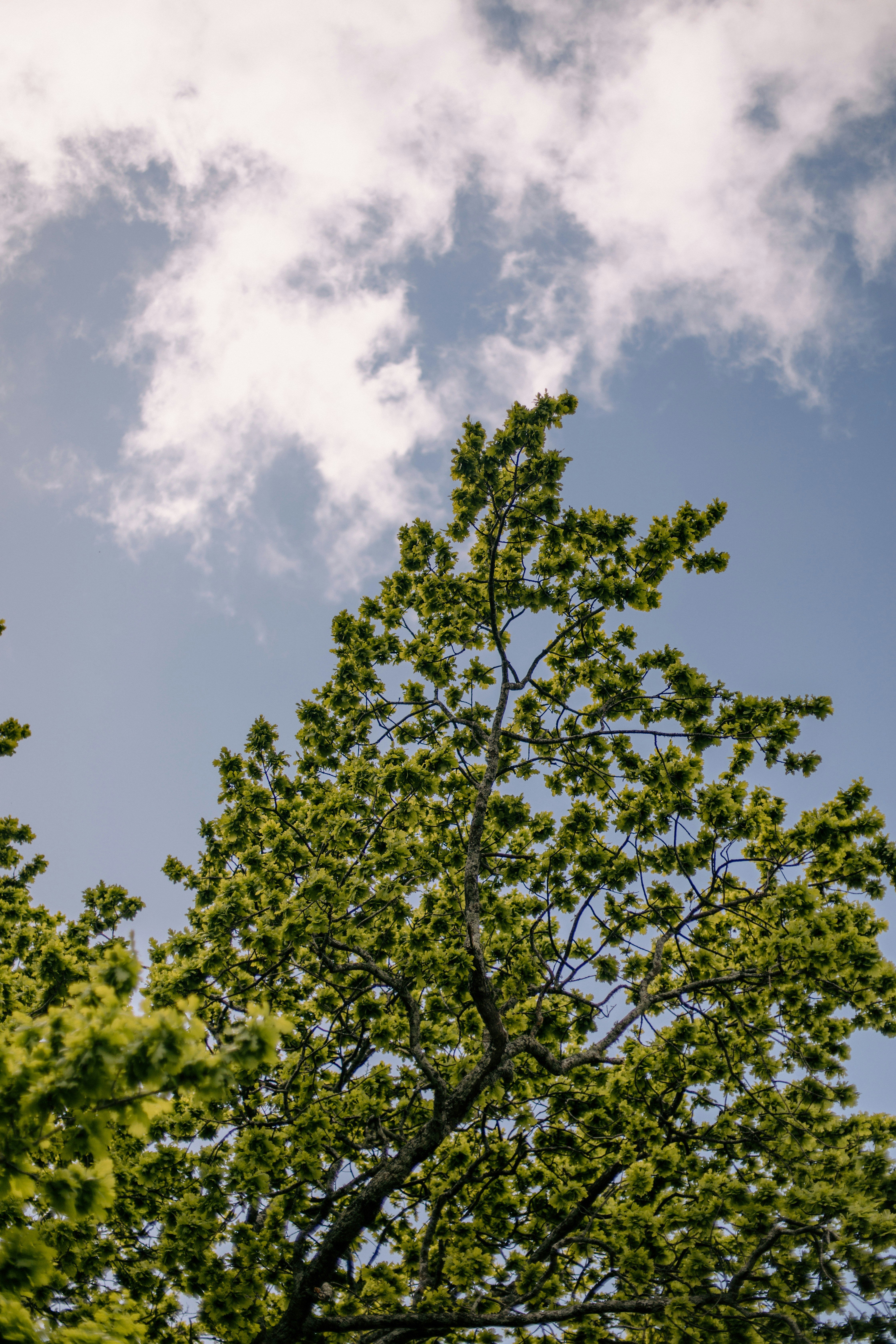 Photo by createinme_nz