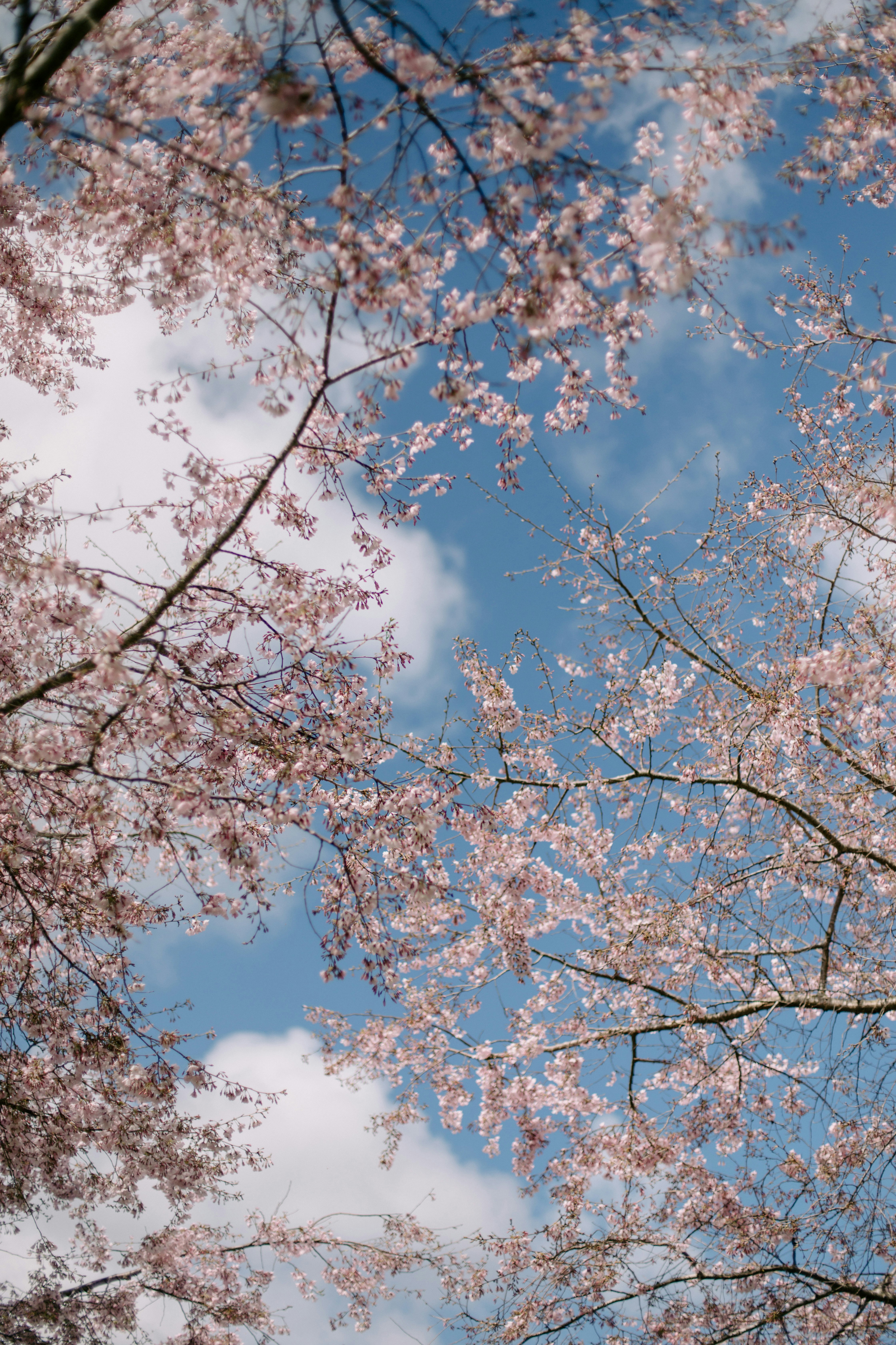 Photo by createinme_nz