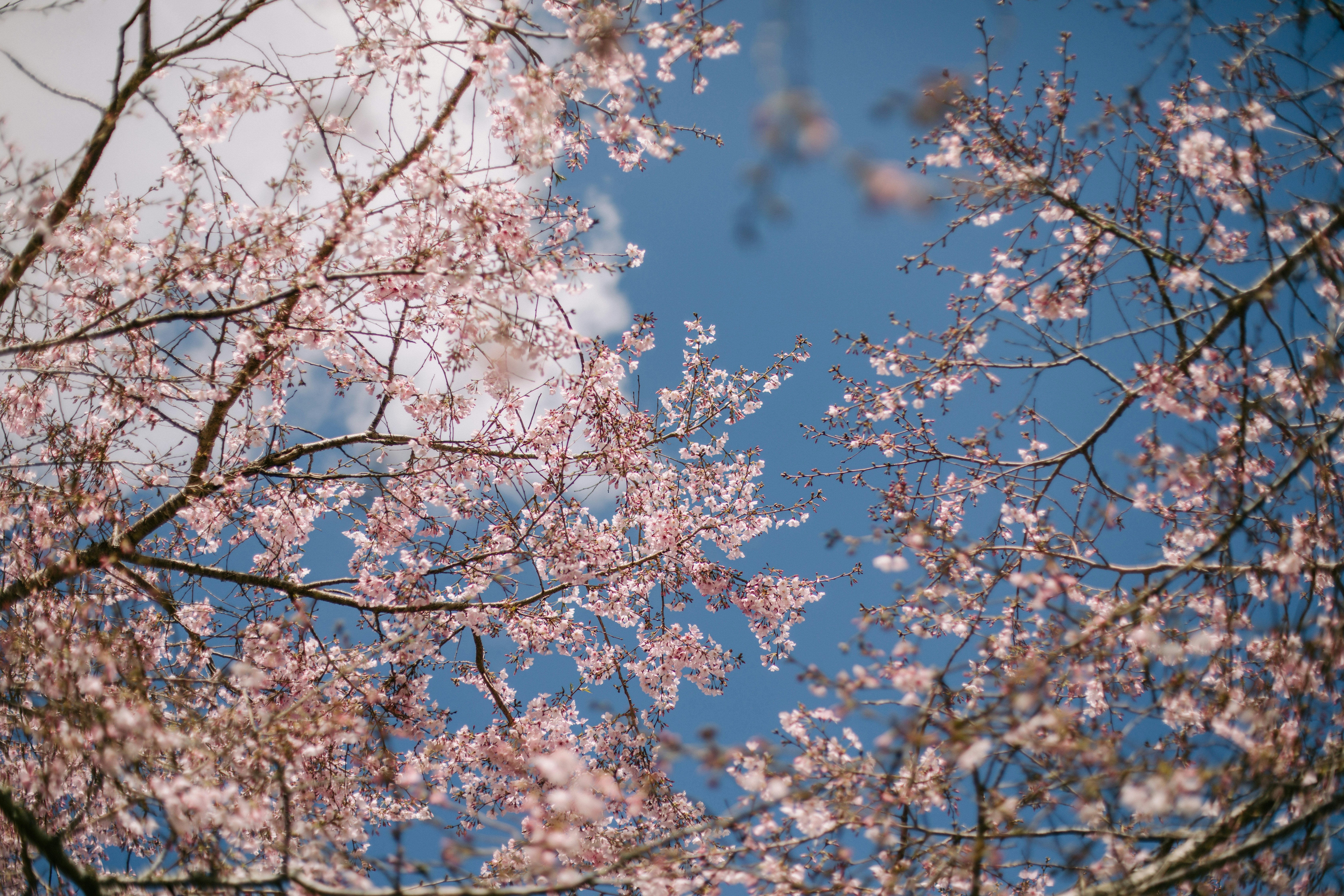 Photo by createinme_nz