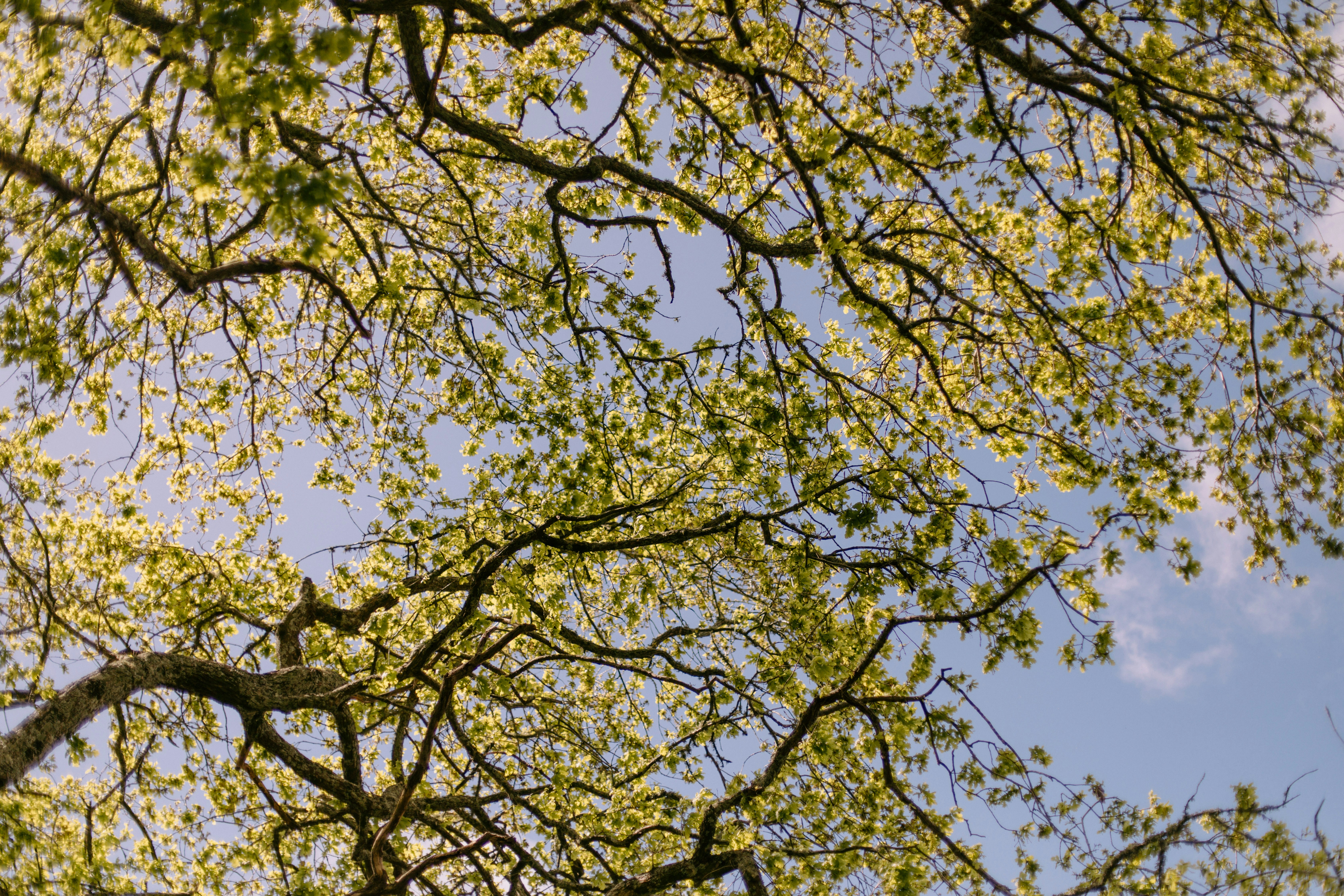 Photo by createinme_nz