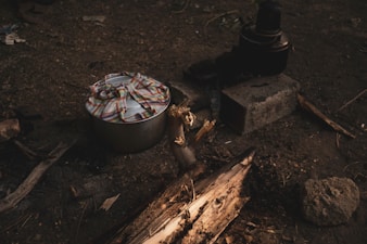 Freeze-Dried vs Dehydrated Meals — What Backpackers Need to Know