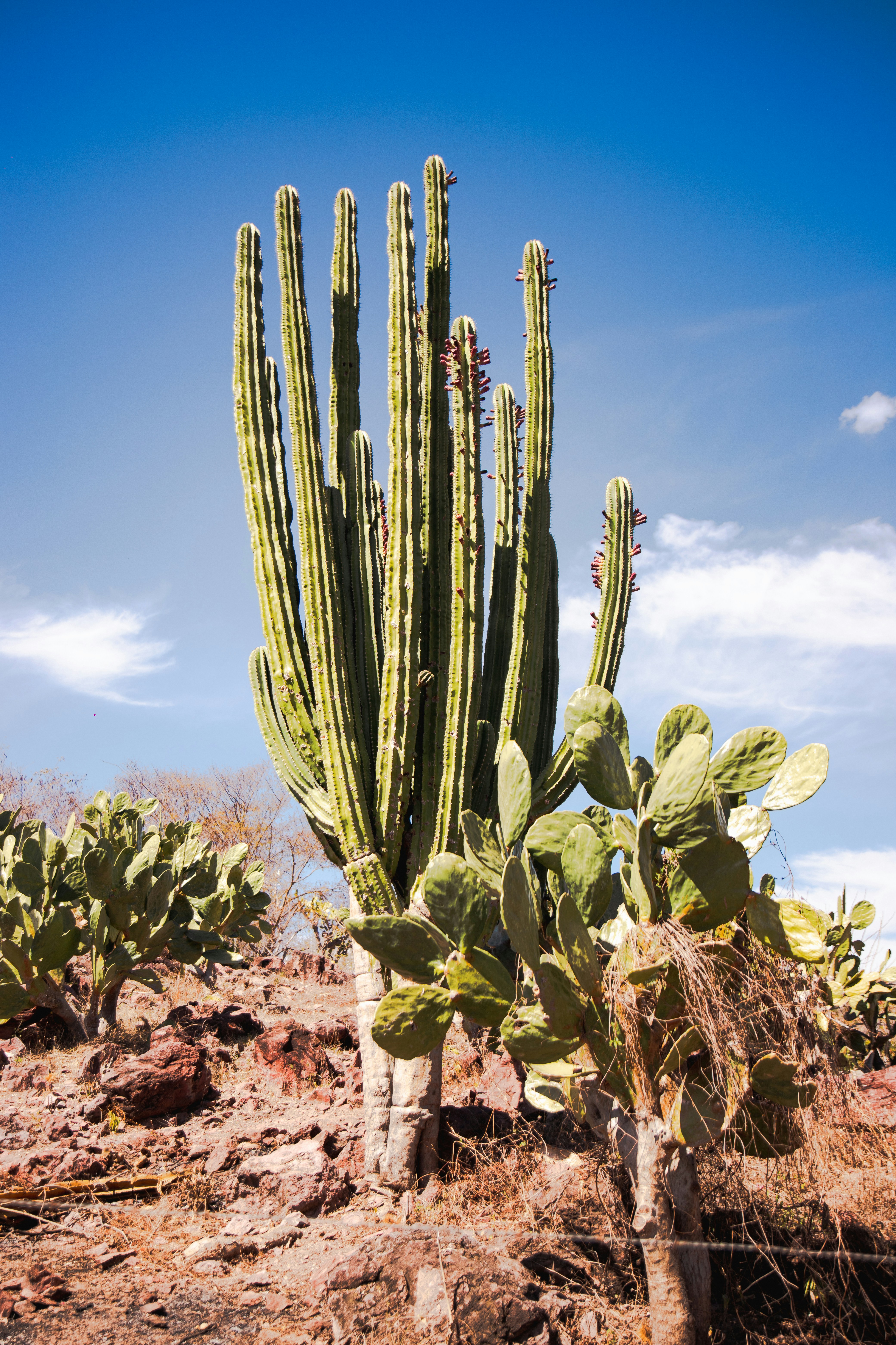 Photo by hectoroconnor