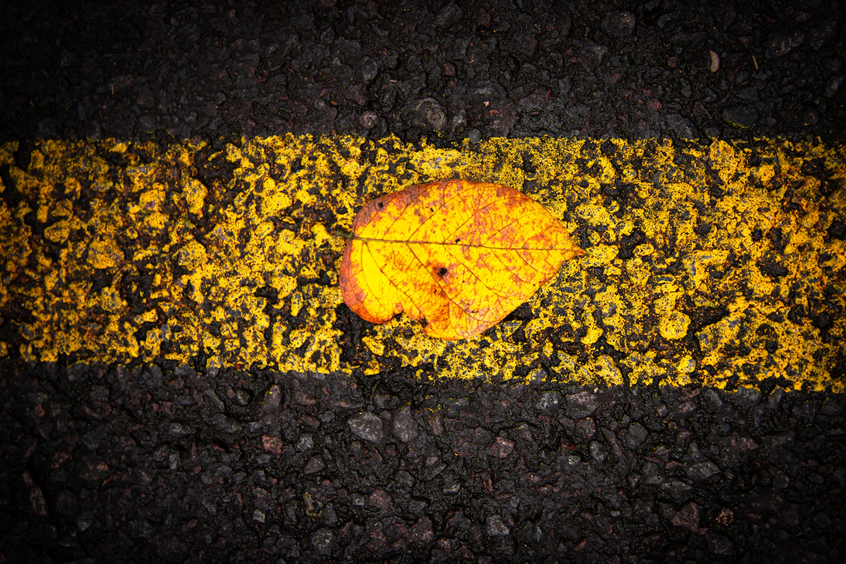 Marquage au sol signification : le guide complet des couleurs, lignes et symboles