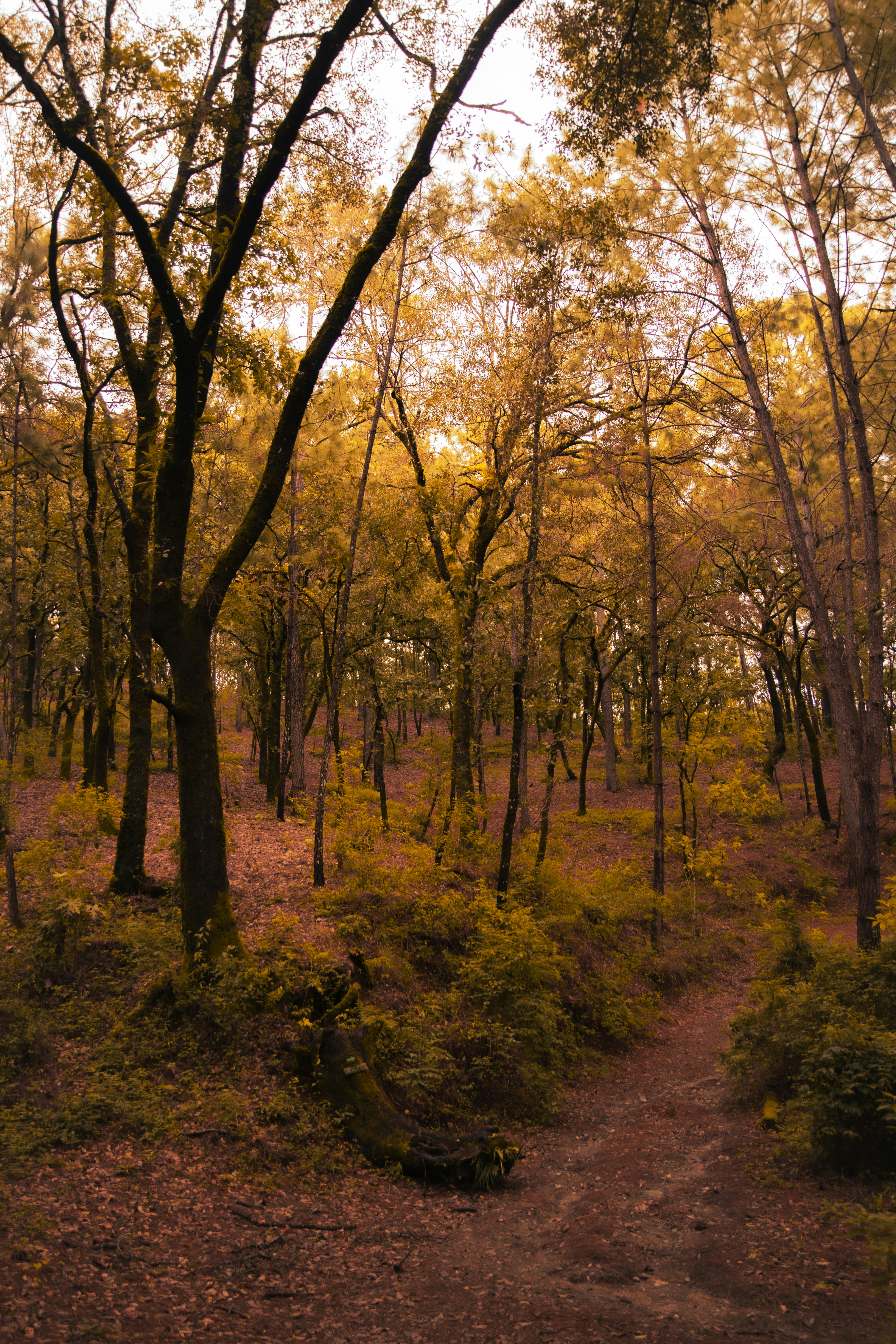 Photo by hectoroconnor