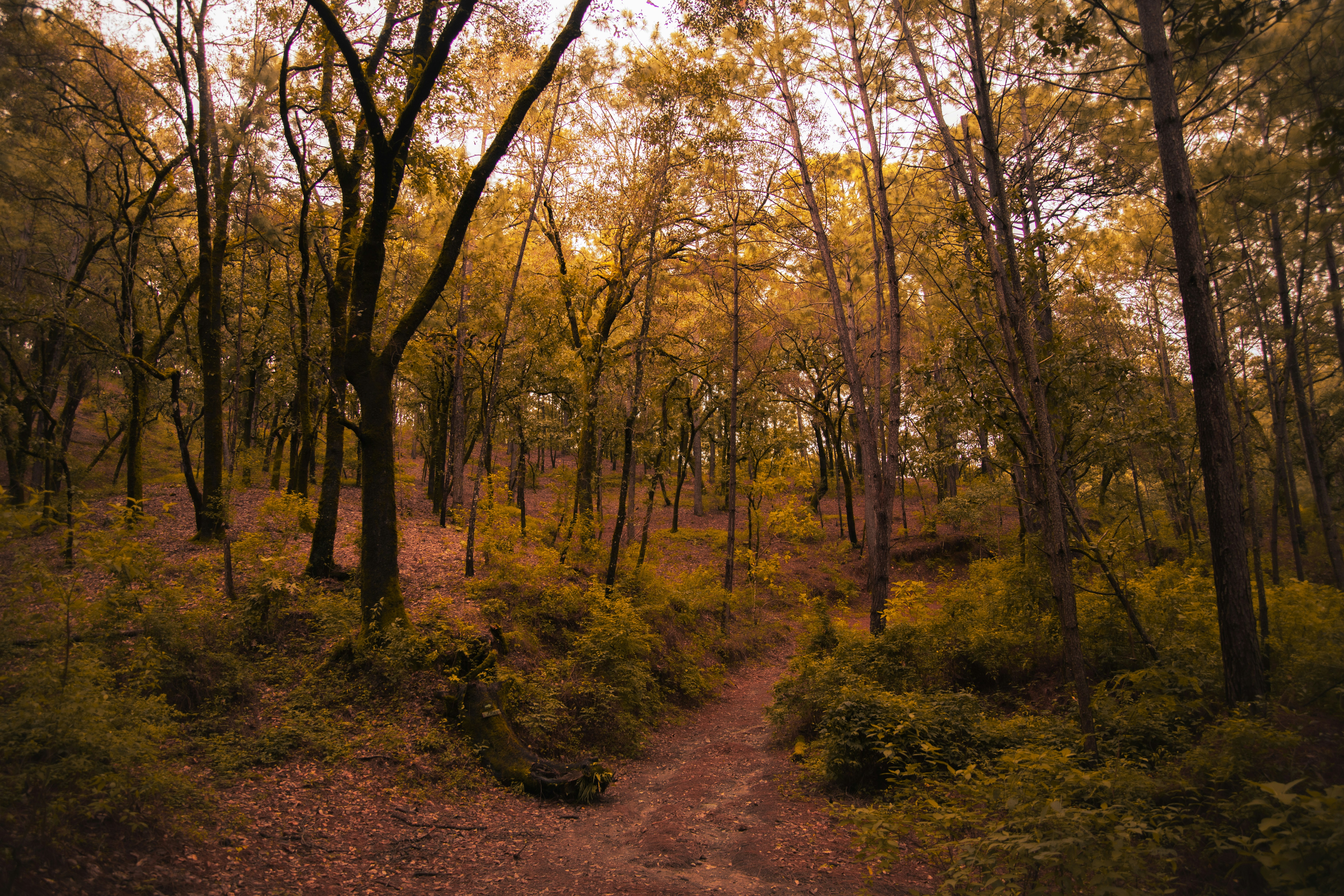 Photo by hectoroconnor