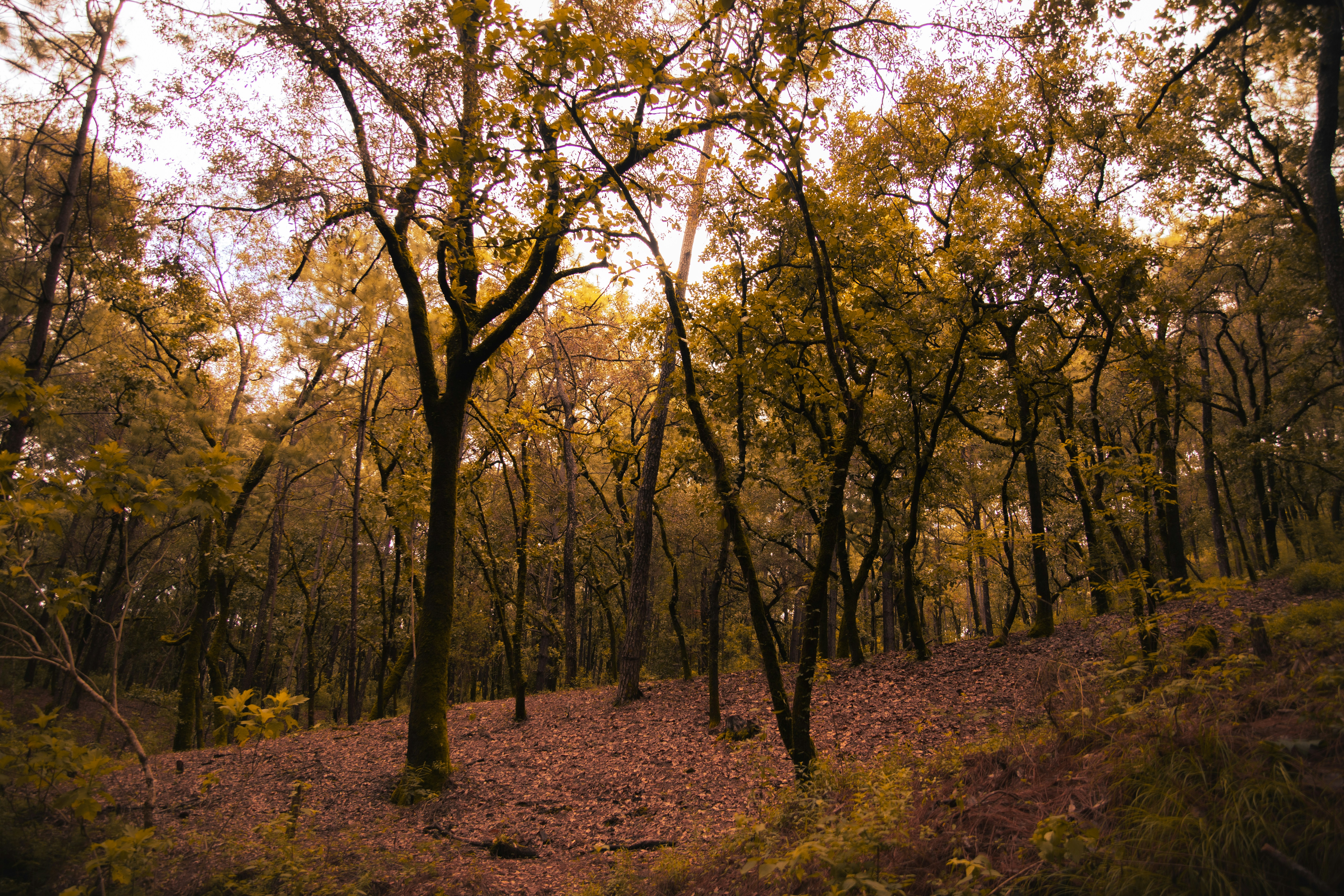 Photo by hectoroconnor