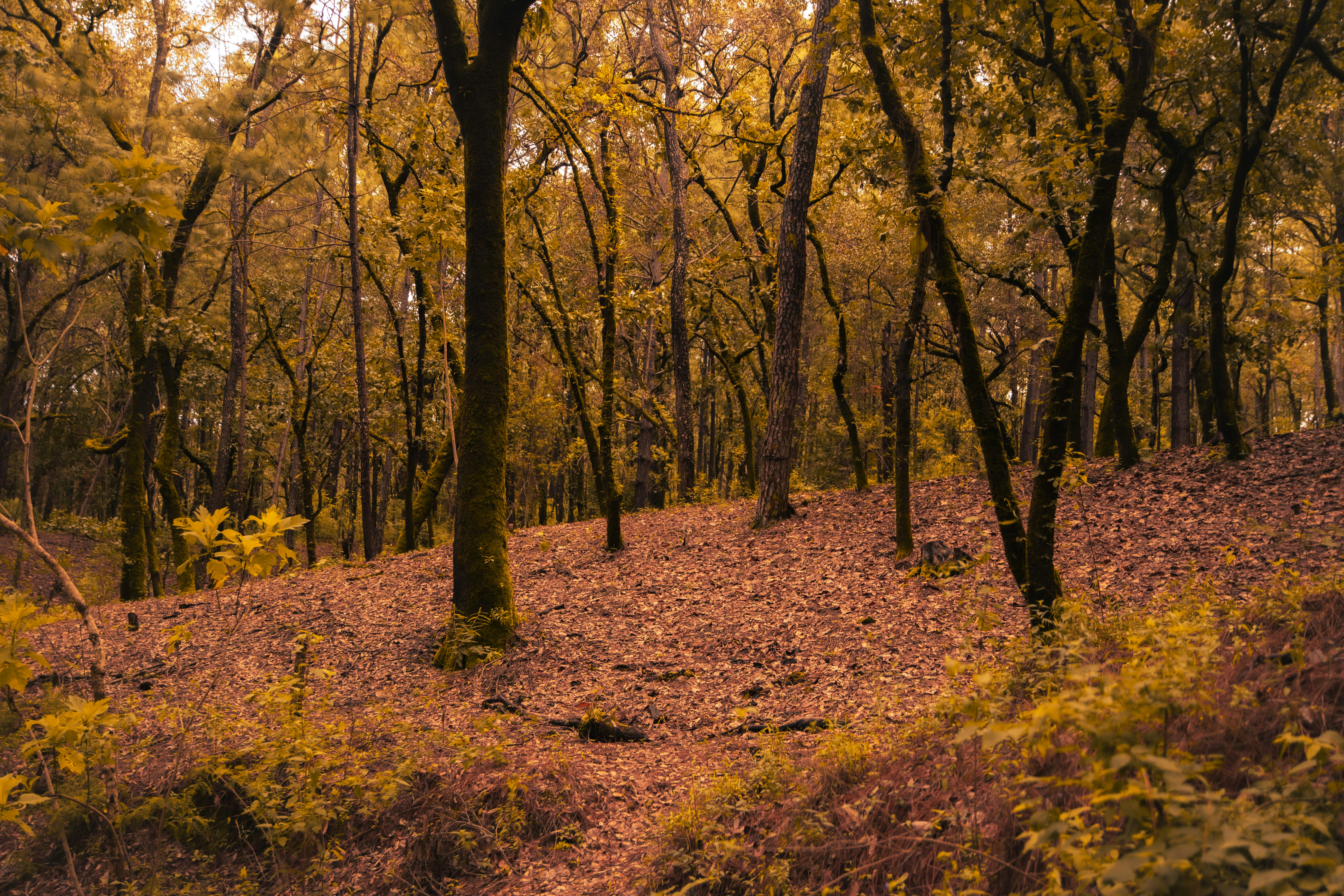 Photo by hectoroconnor