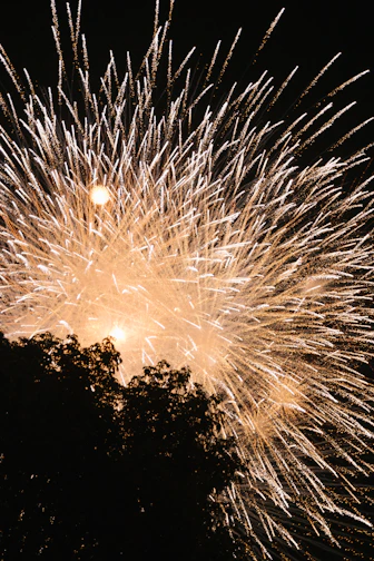 Bright fireworks explode over dark trees at night.