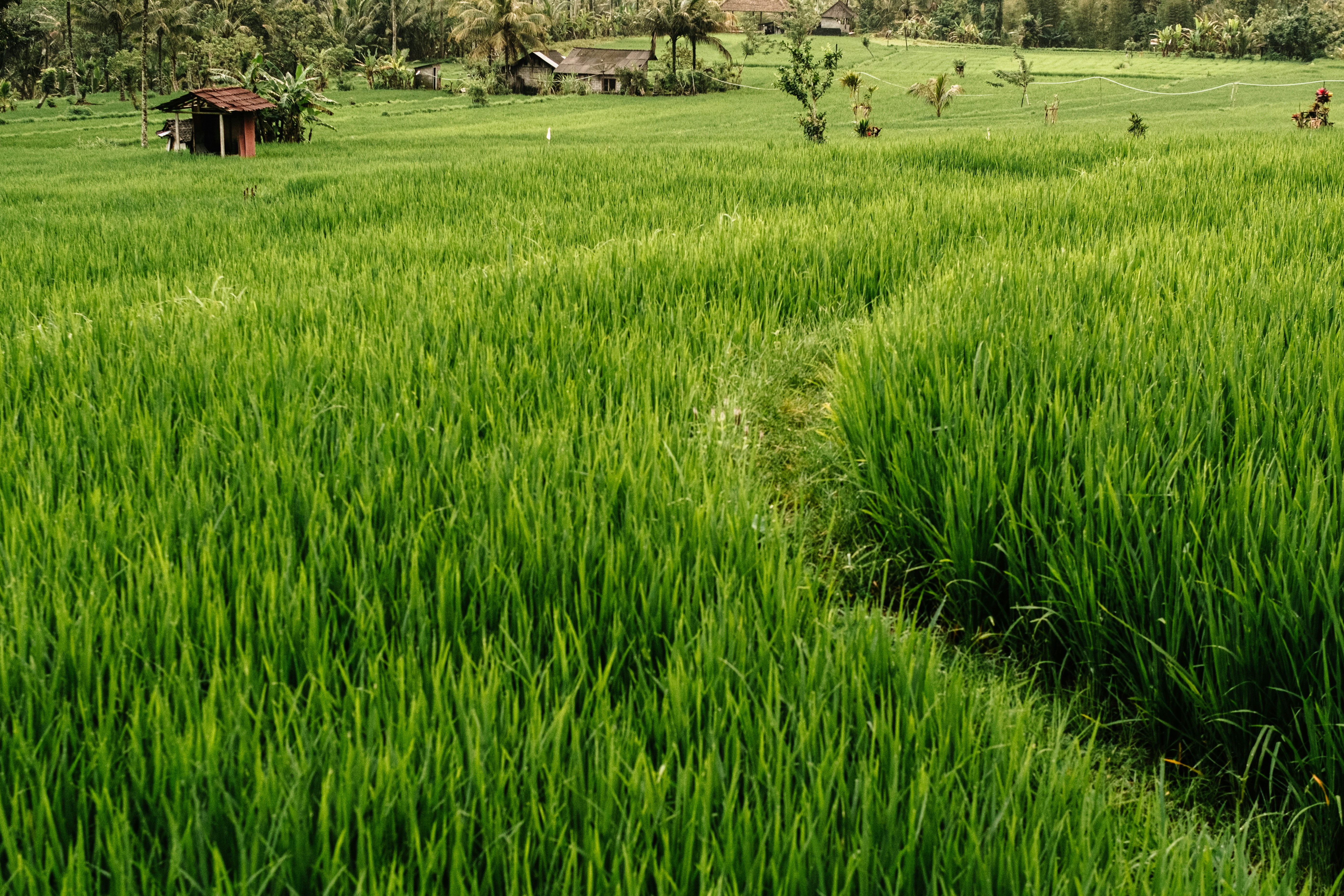 SMkas projects p/l's image