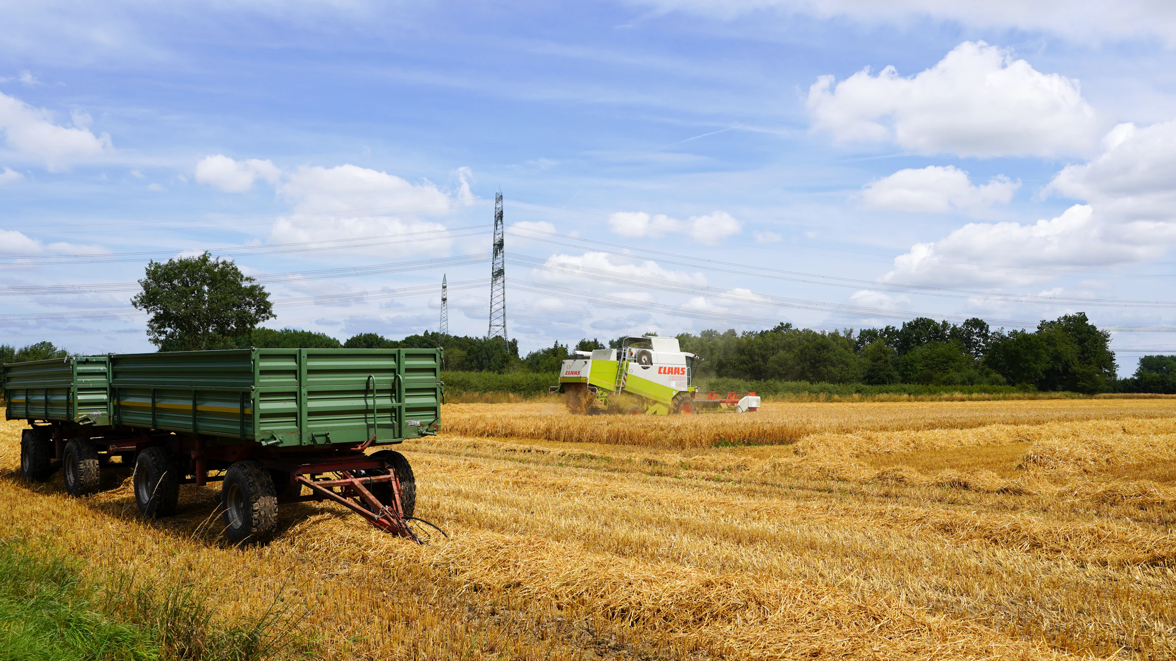 A combine working a golden field at harvest