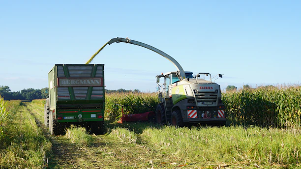 Forage harvester loading trailer in a cornfield.