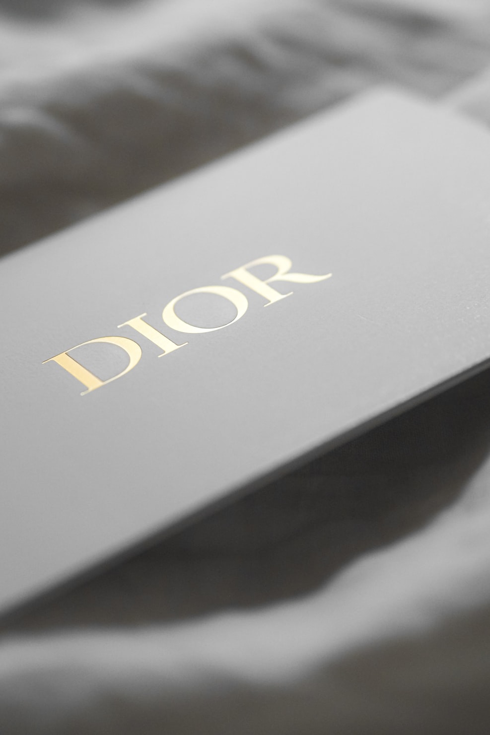 Dior Saddle Bag (Black Leather)