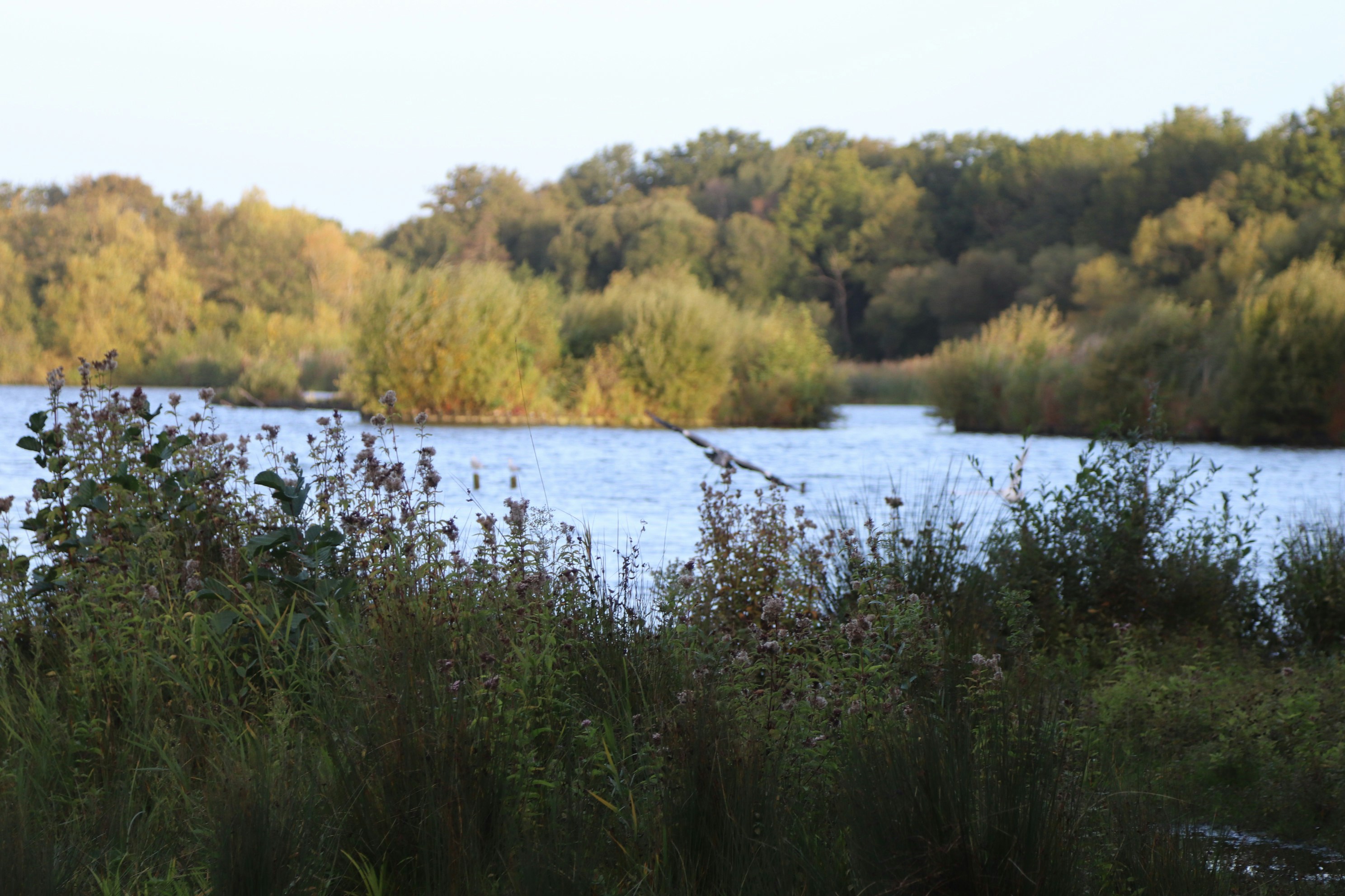 Photo by tanyabarrow