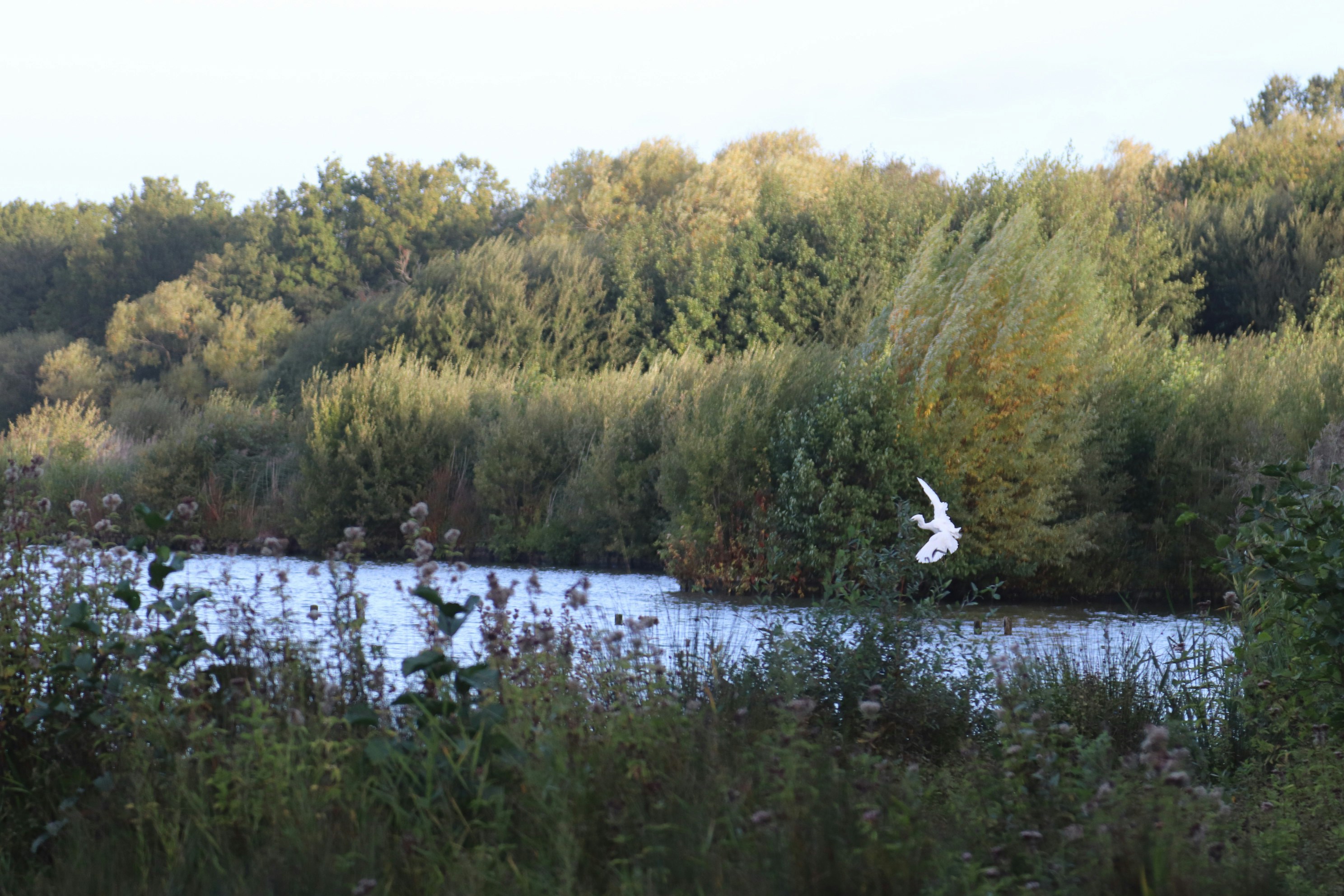 Photo by tanyabarrow