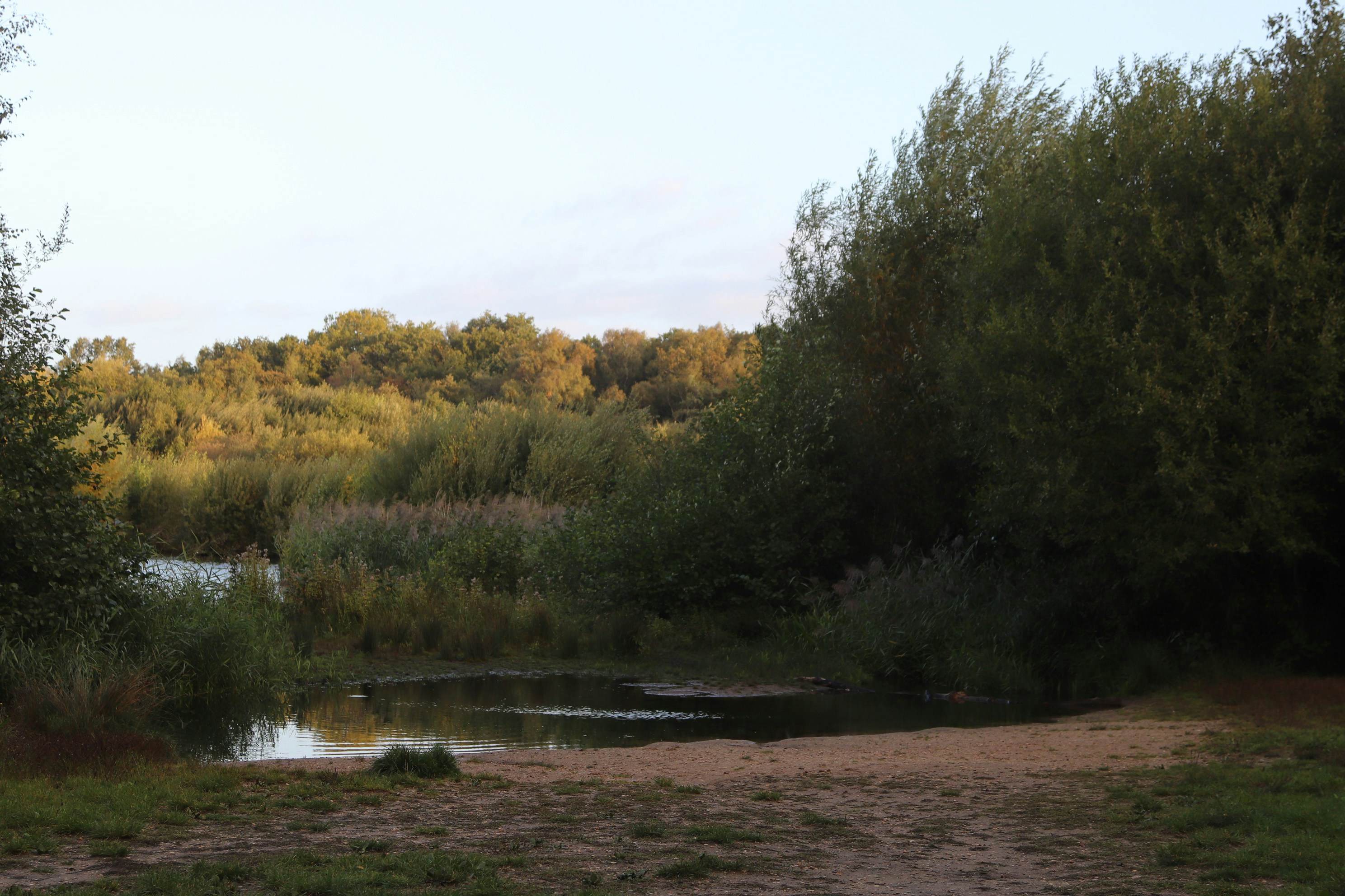 Photo by tanyabarrow