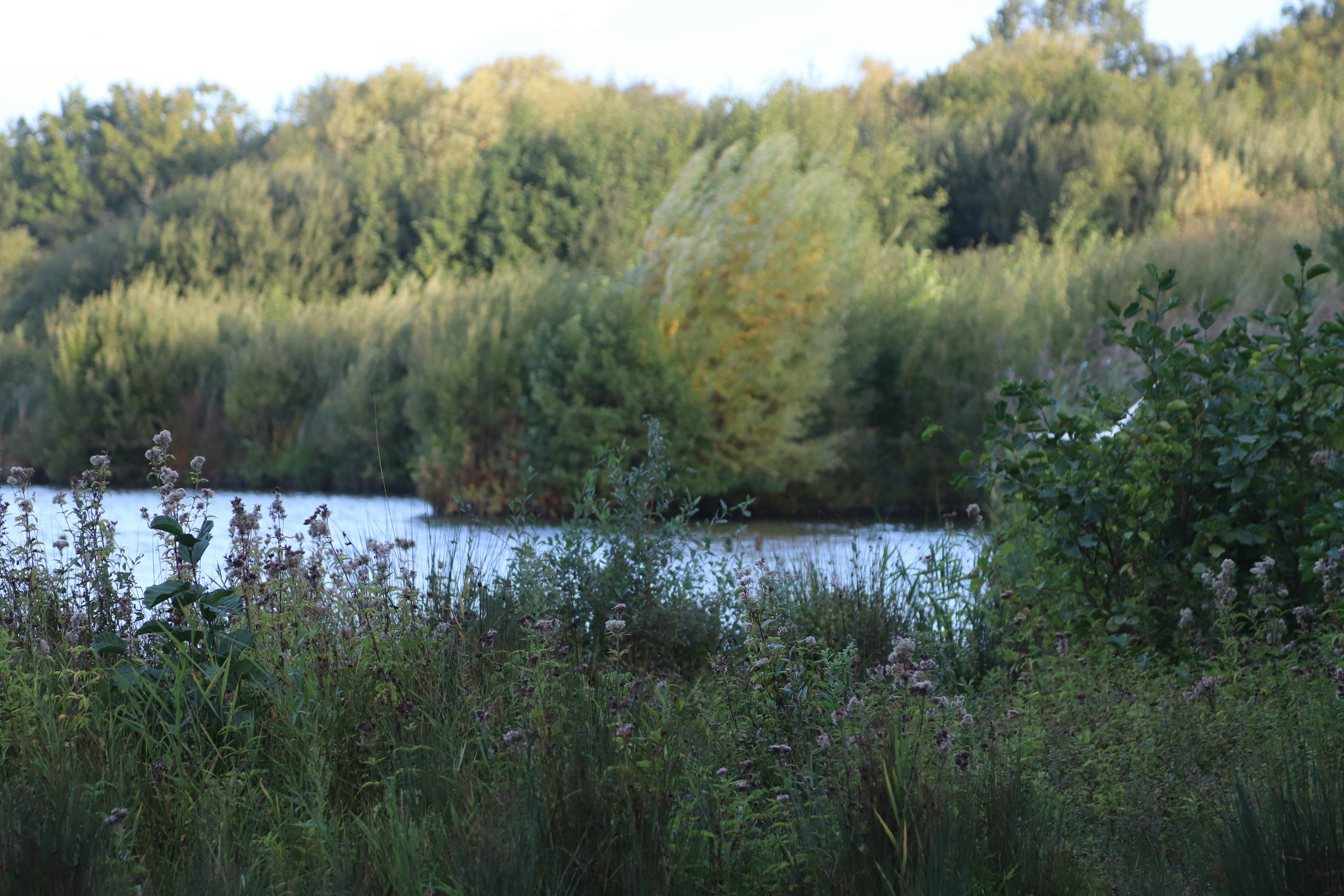 Photo by tanyabarrow