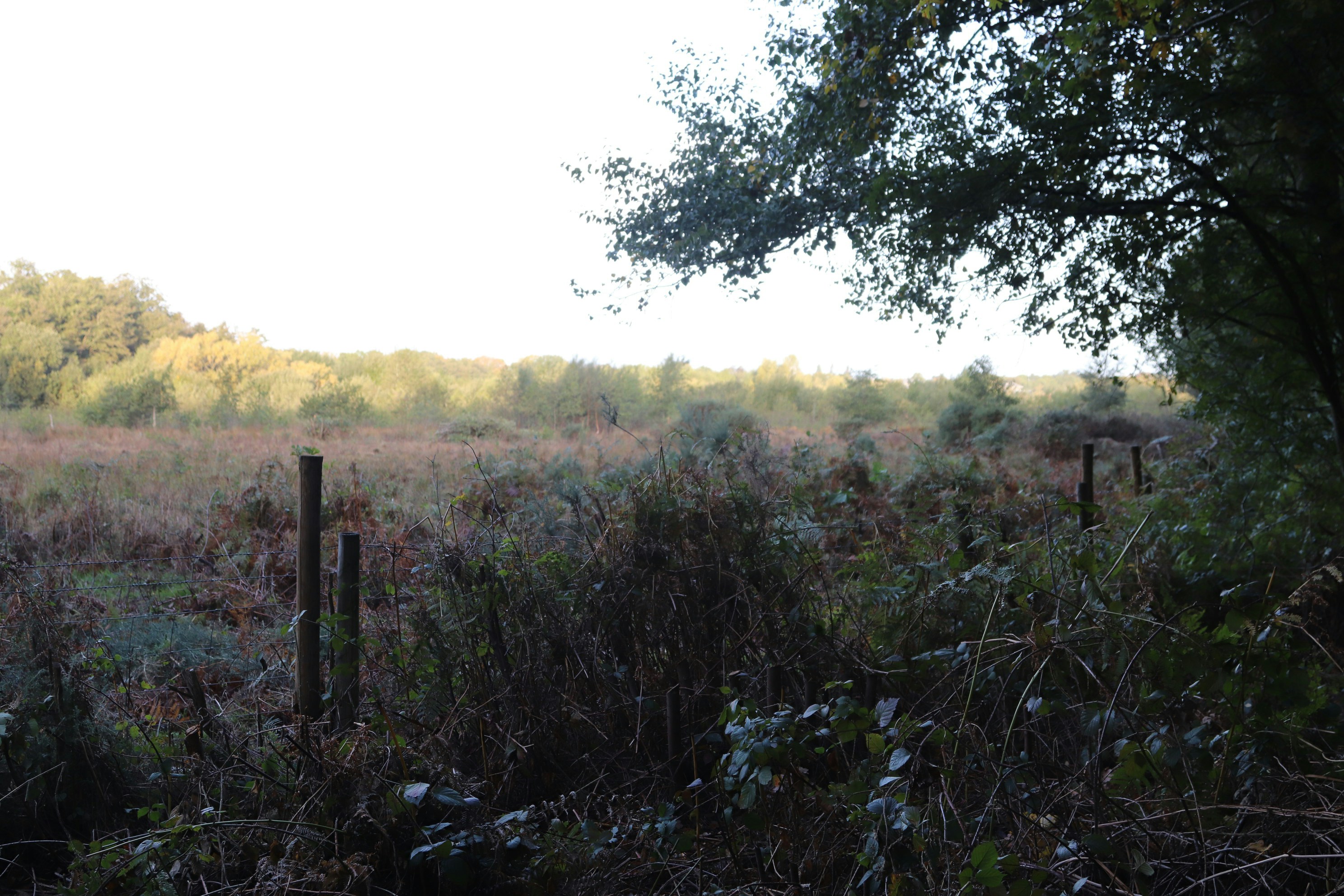 Photo by tanyabarrow