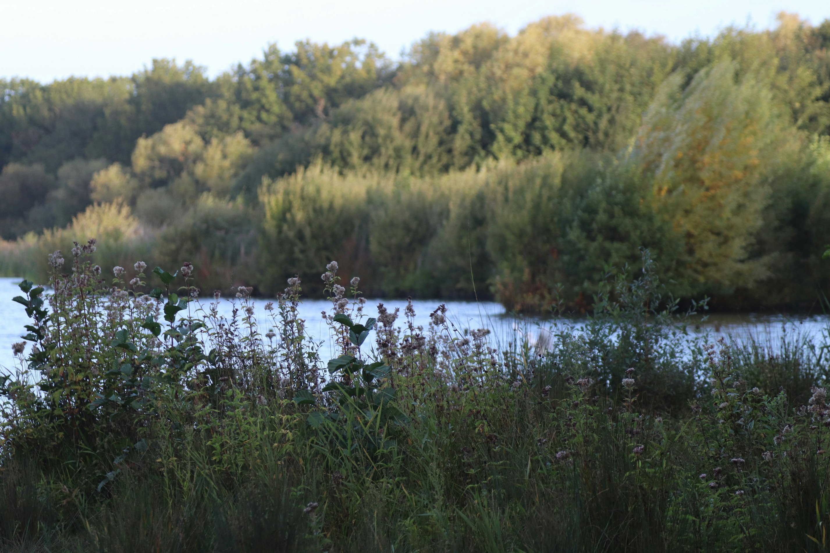 Photo by tanyabarrow