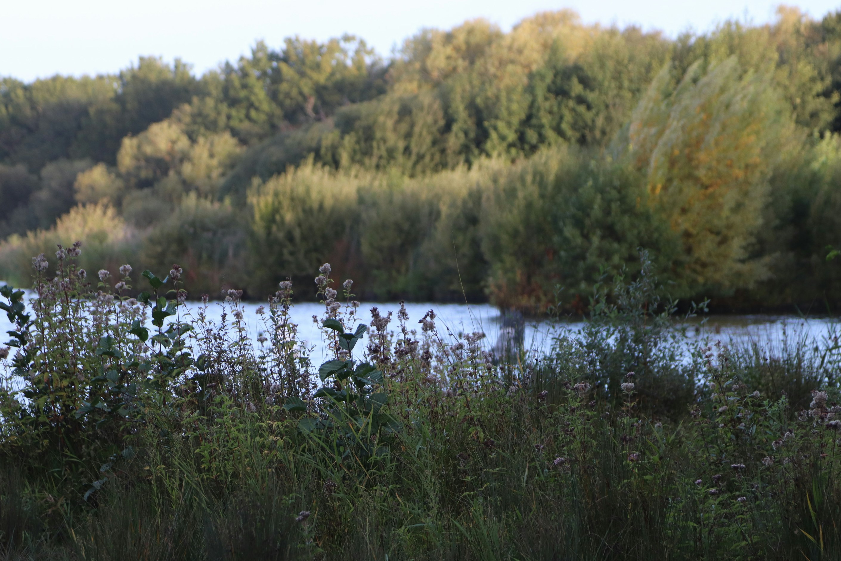 Photo by tanyabarrow