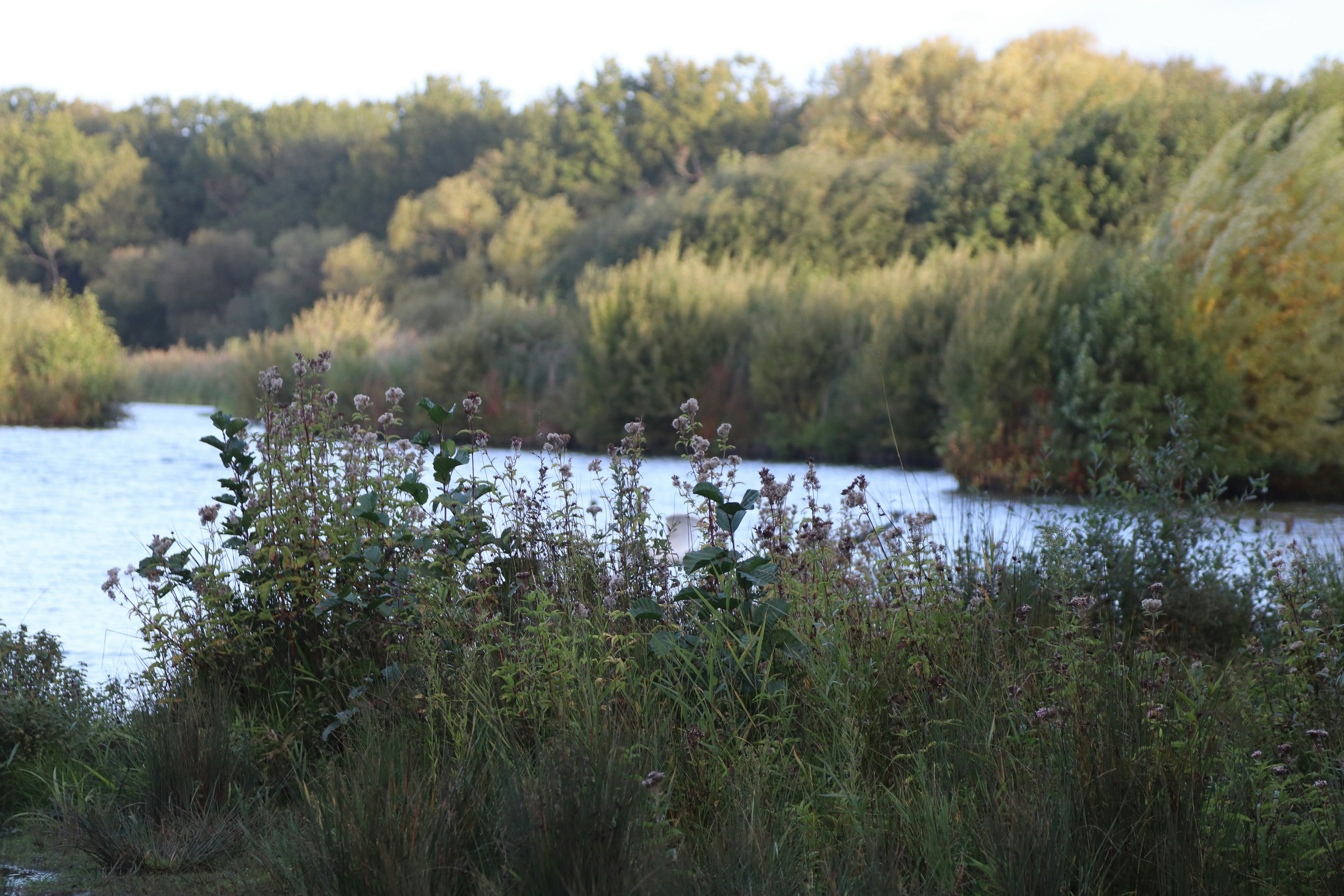 Photo by tanyabarrow