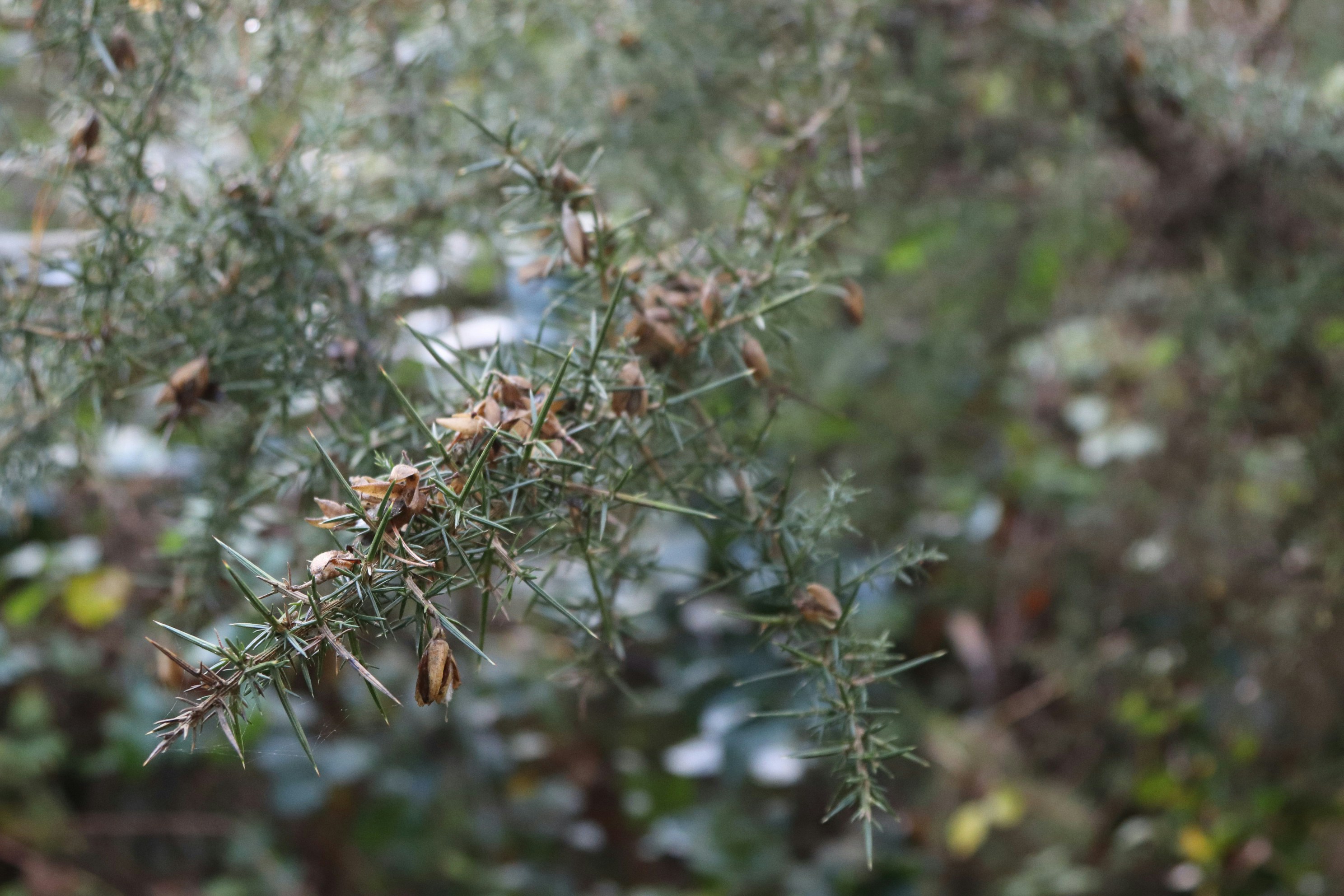 Photo by tanyabarrow