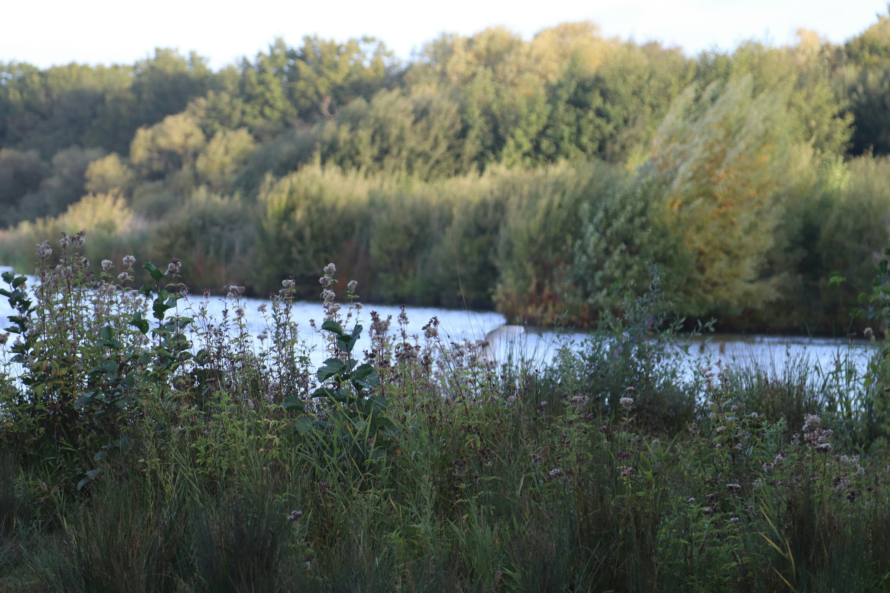 Photo by tanyabarrow