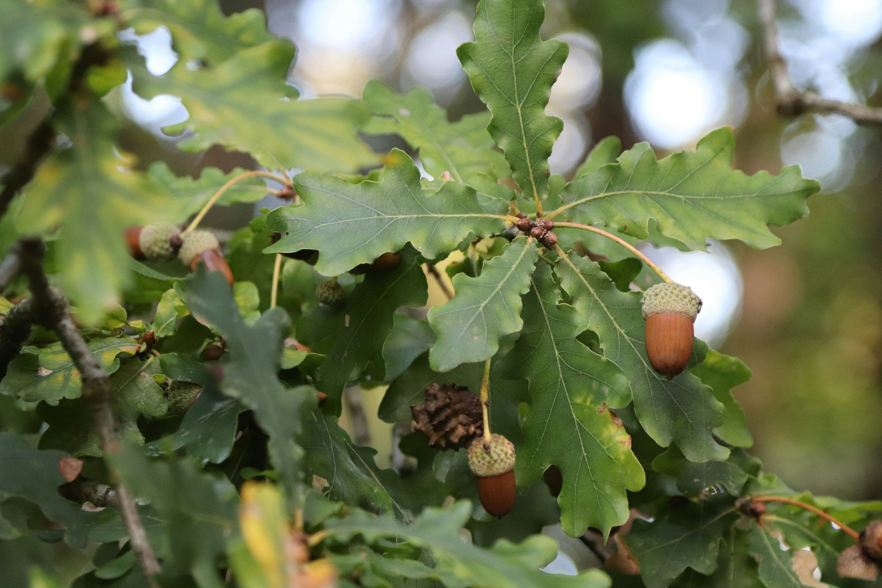 Photo by tanyabarrow