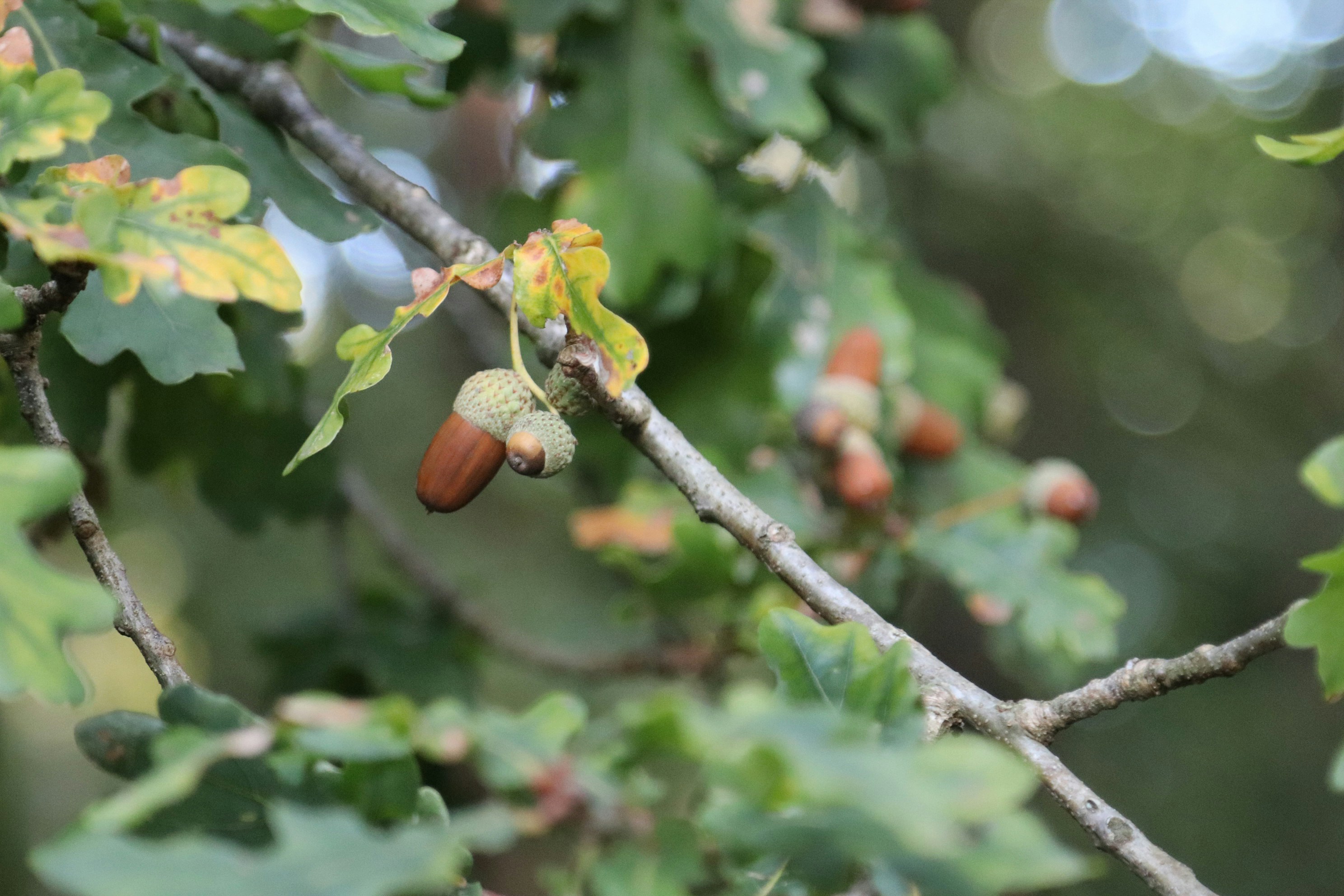 Photo by tanyabarrow