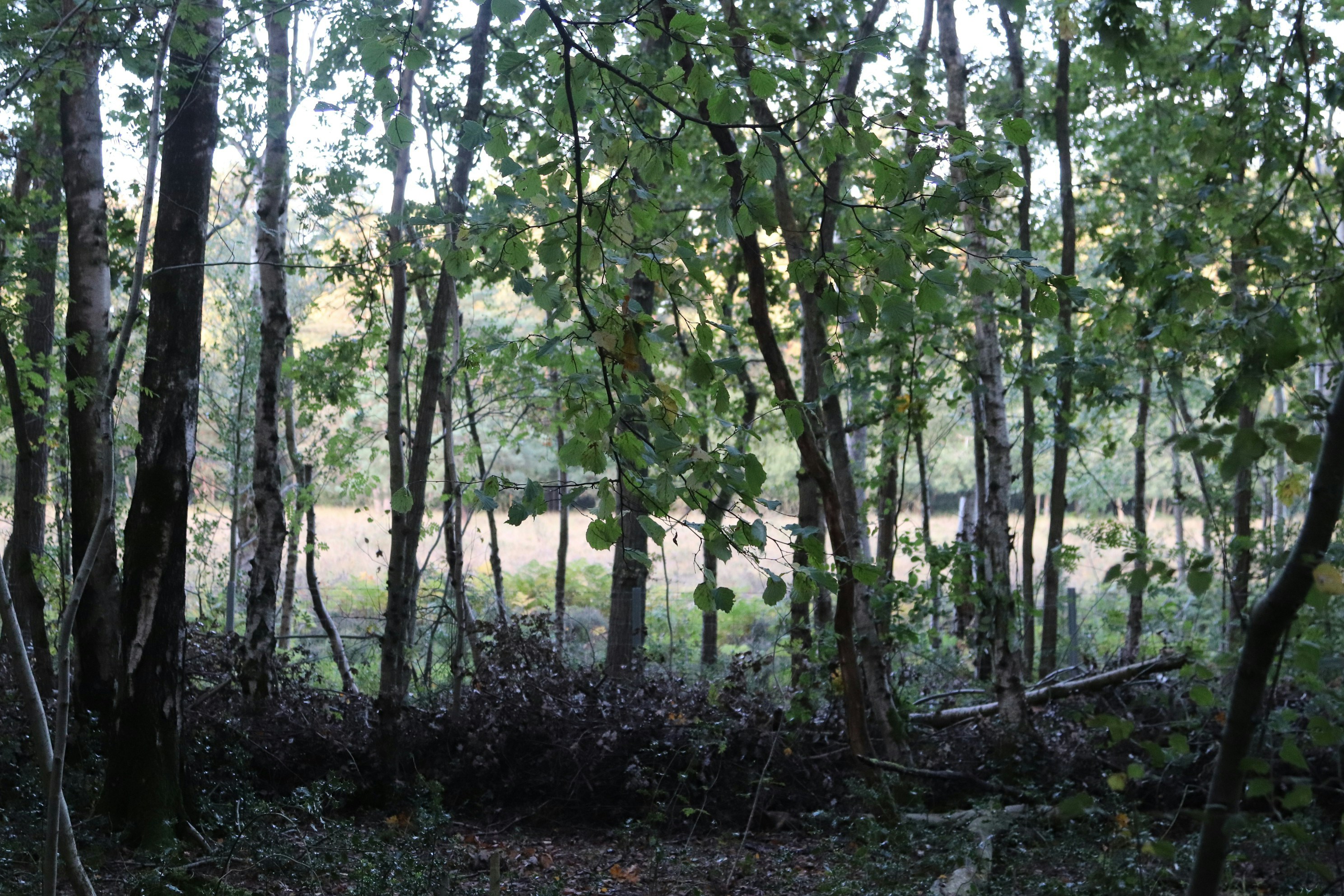 Photo by tanyabarrow