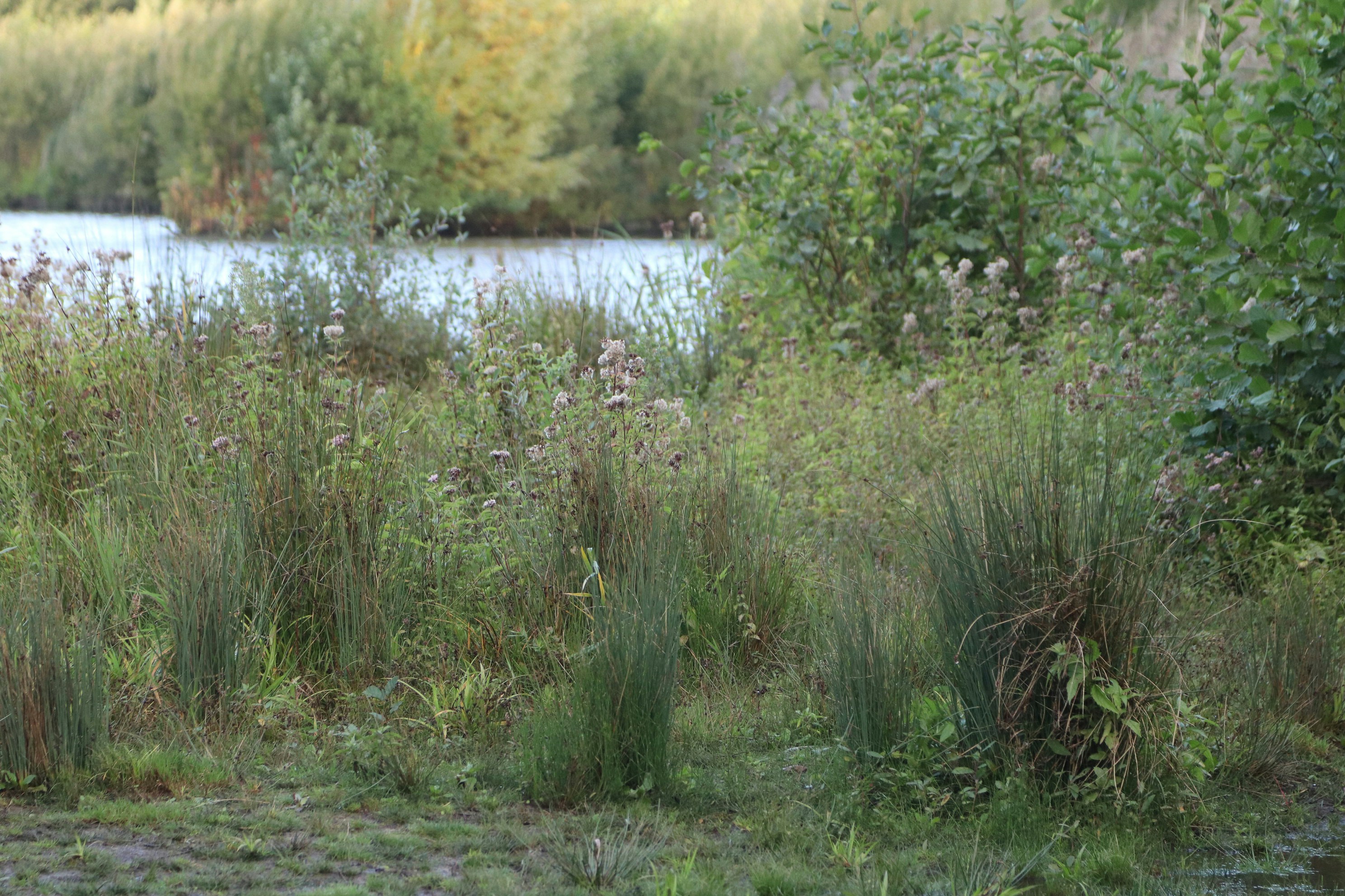 Photo by tanyabarrow