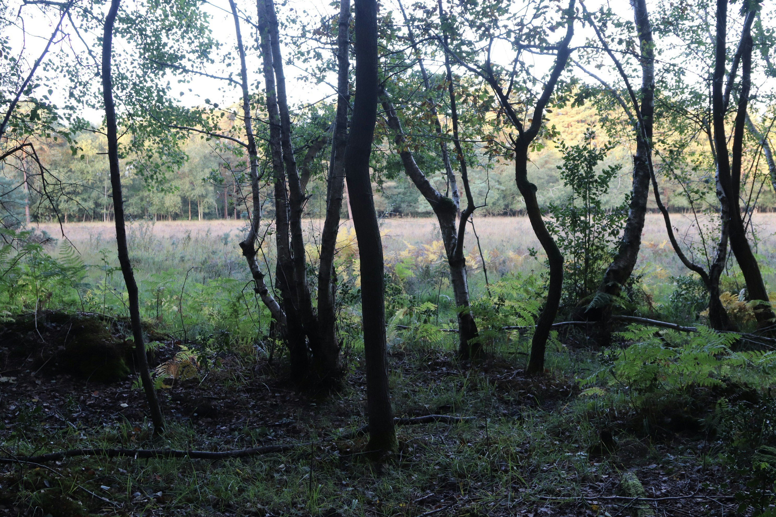 Photo by tanyabarrow