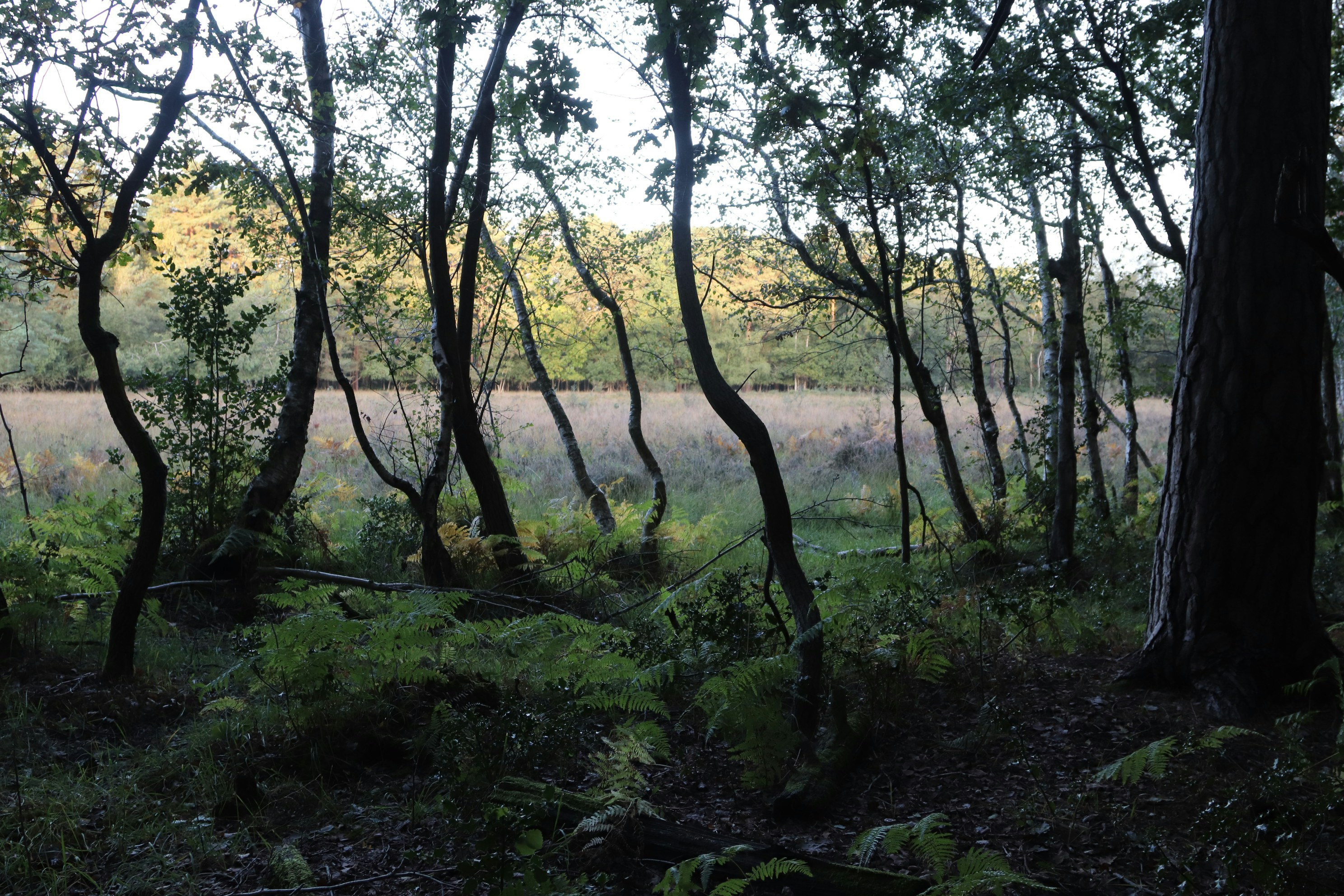 Photo by tanyabarrow