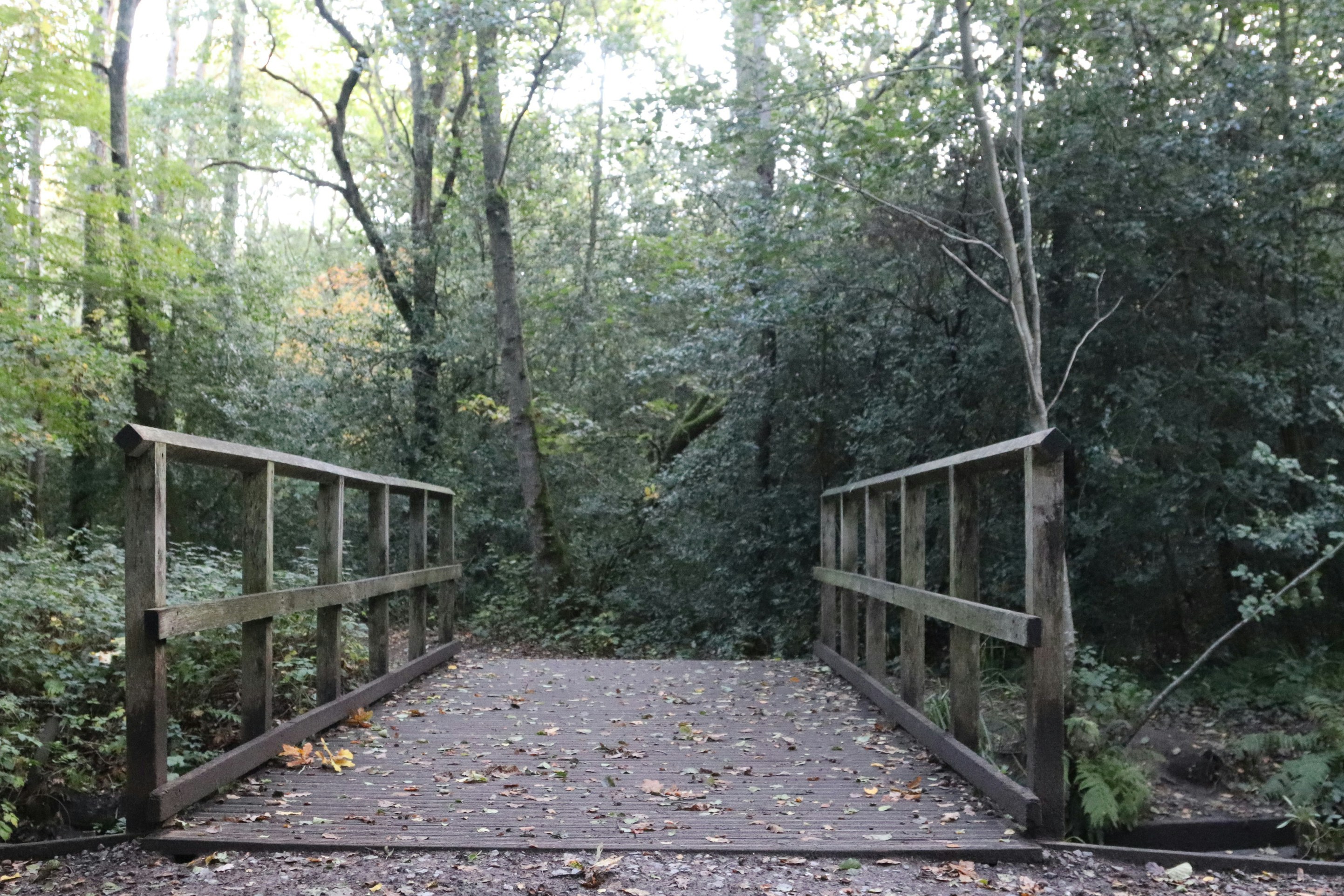 Photo by tanyabarrow