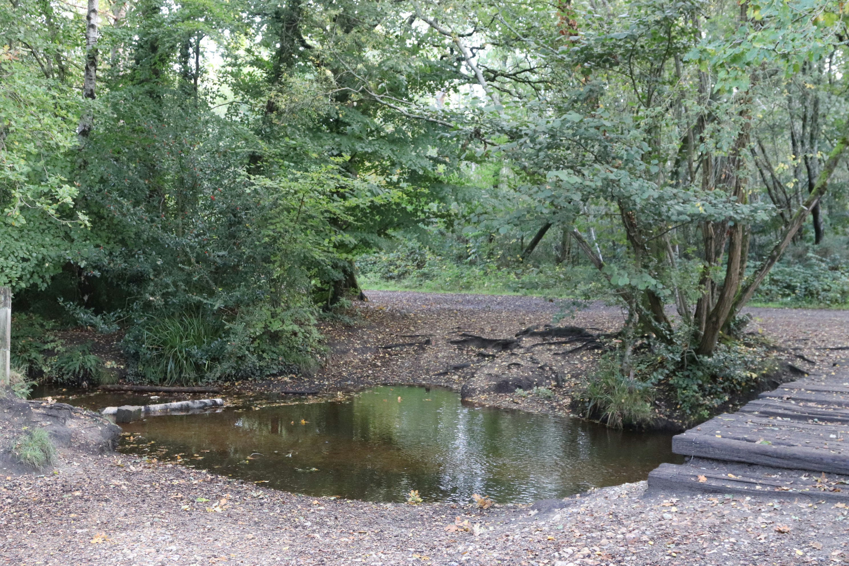 Photo by tanyabarrow