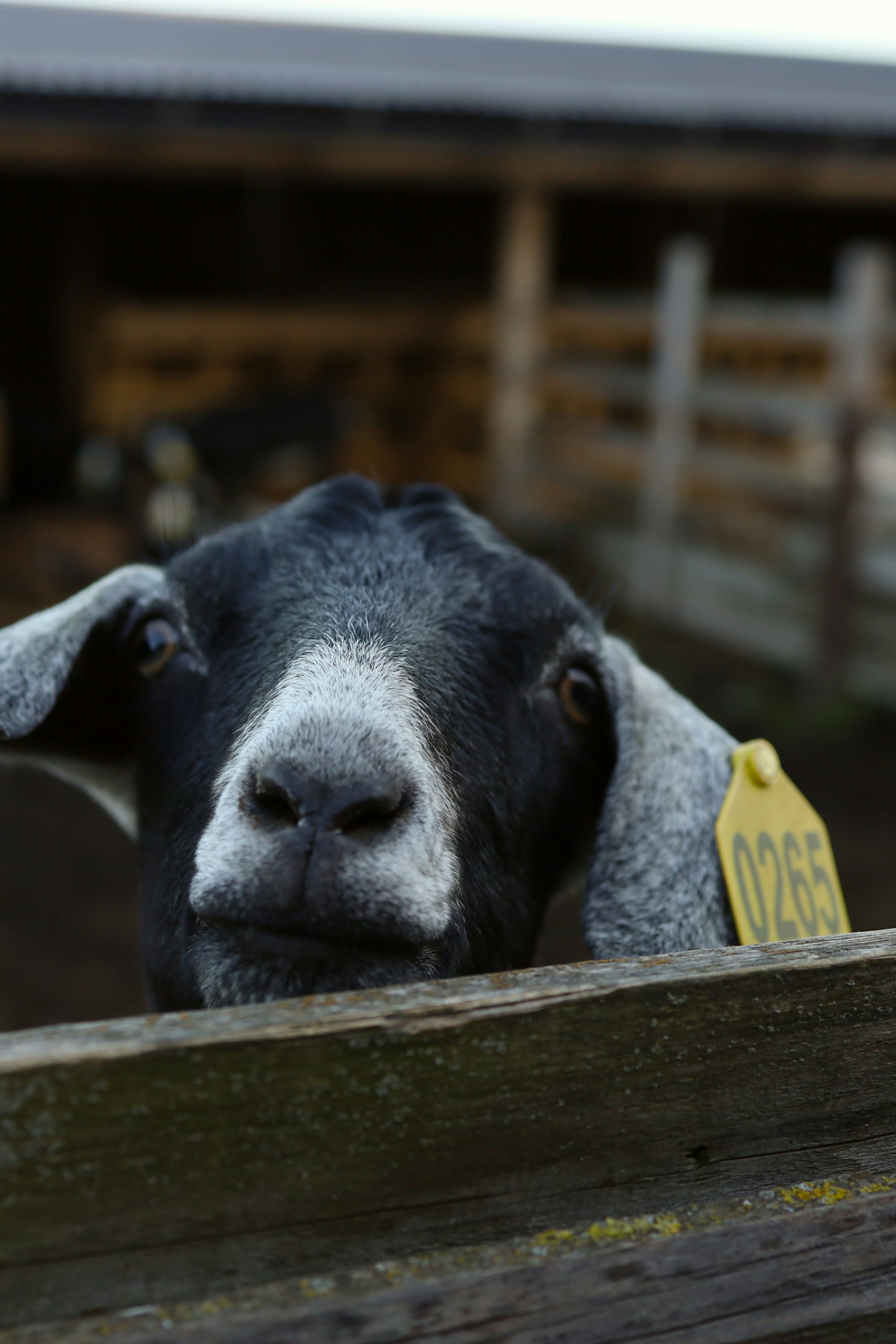 Photo by evgeniya_pron