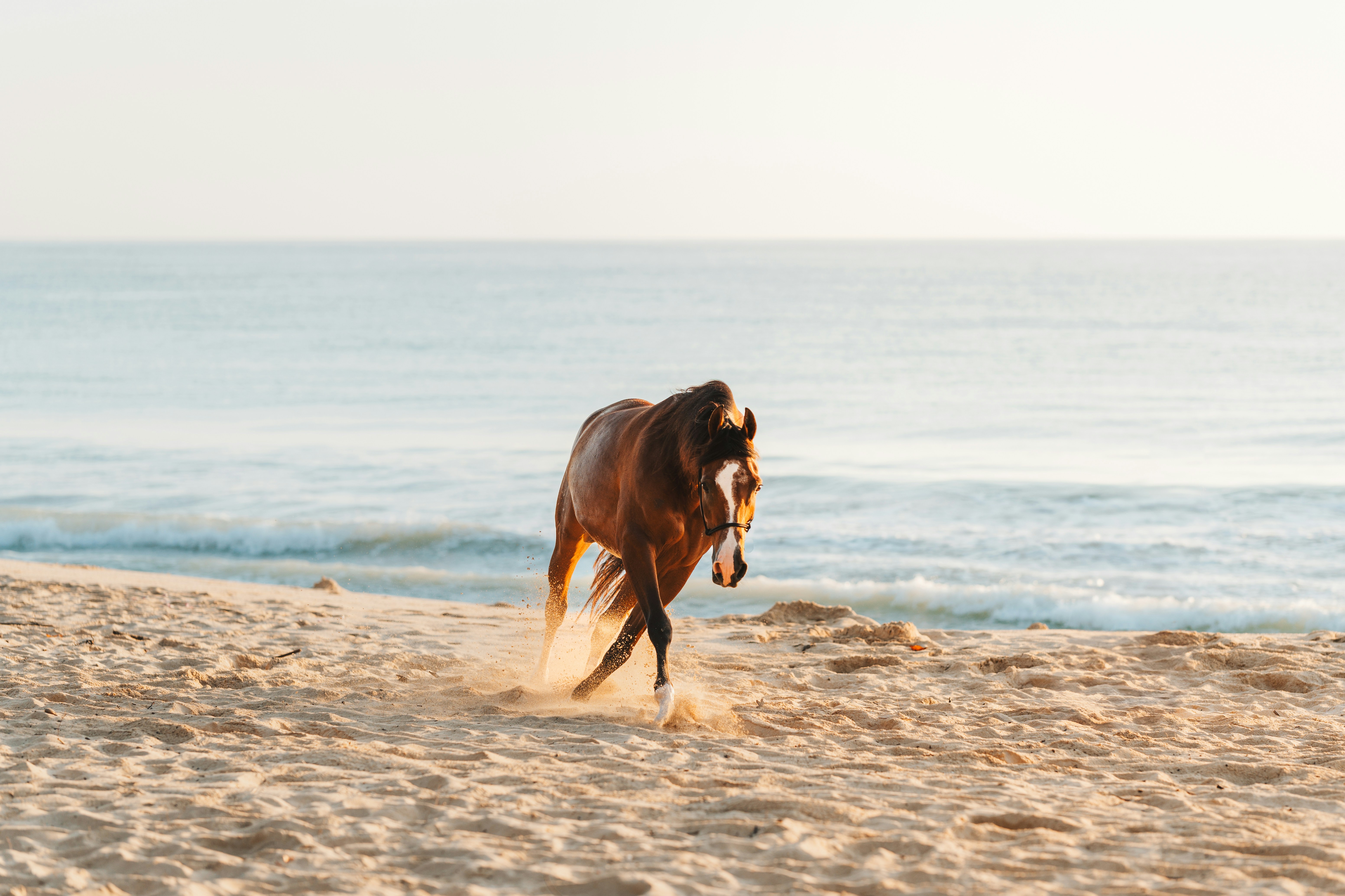 Photo by rachelsloanphoto