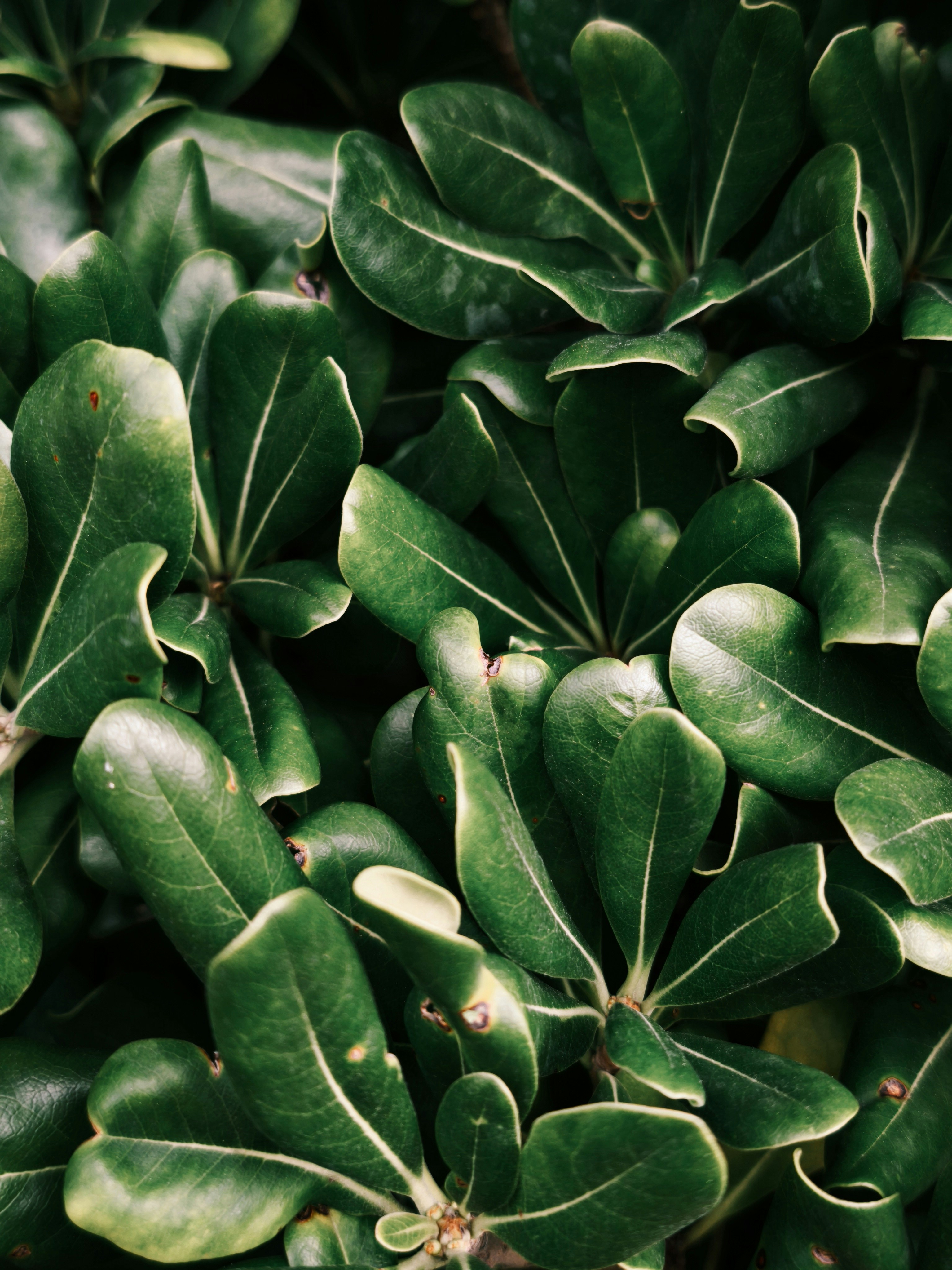 Photo by filipenobre