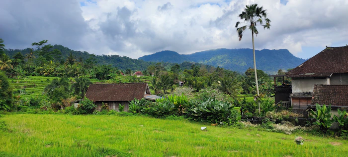 Best Guesthouses
