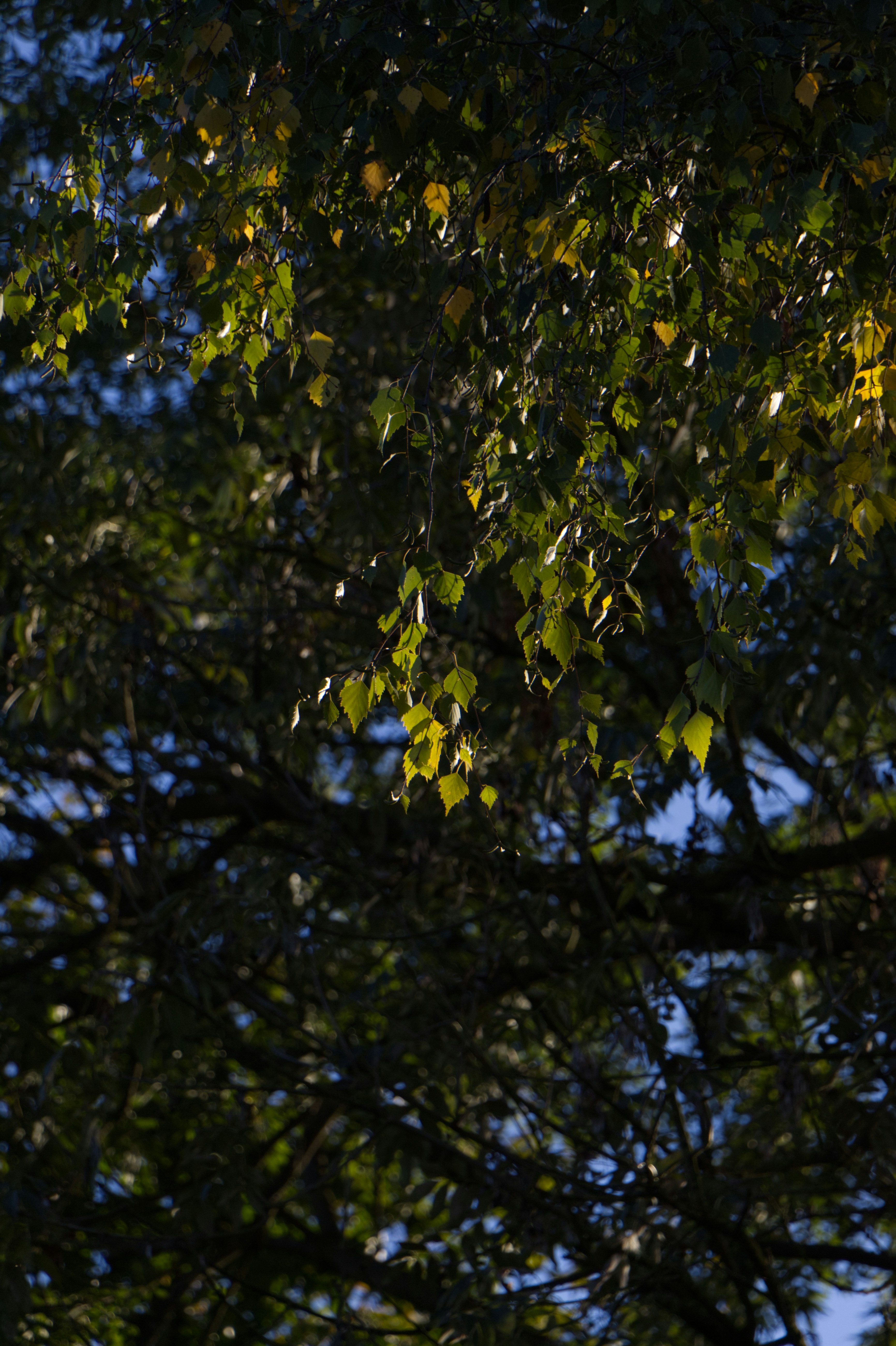 Photo by spaceboundstudio