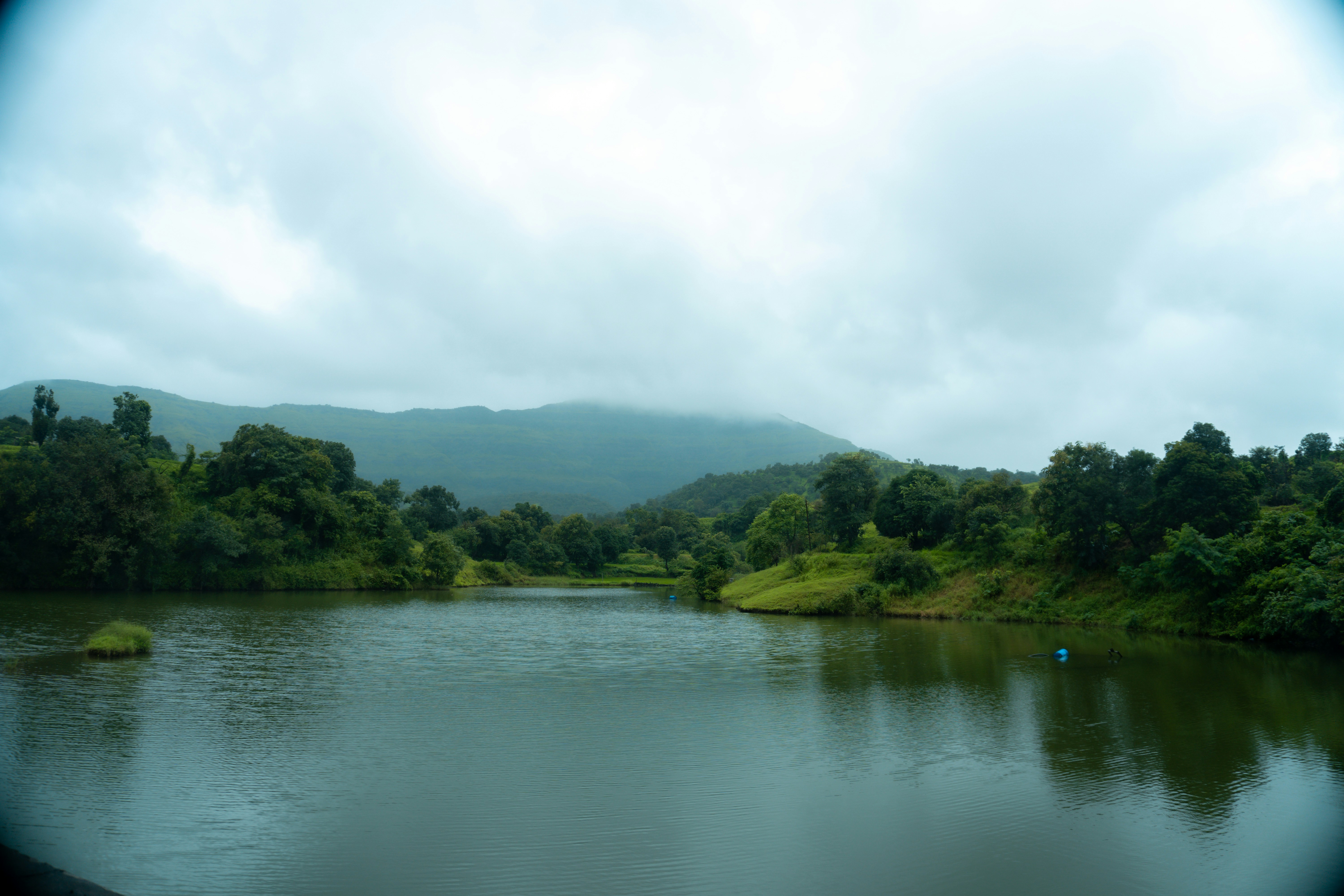 Photo by 123sani_qwe