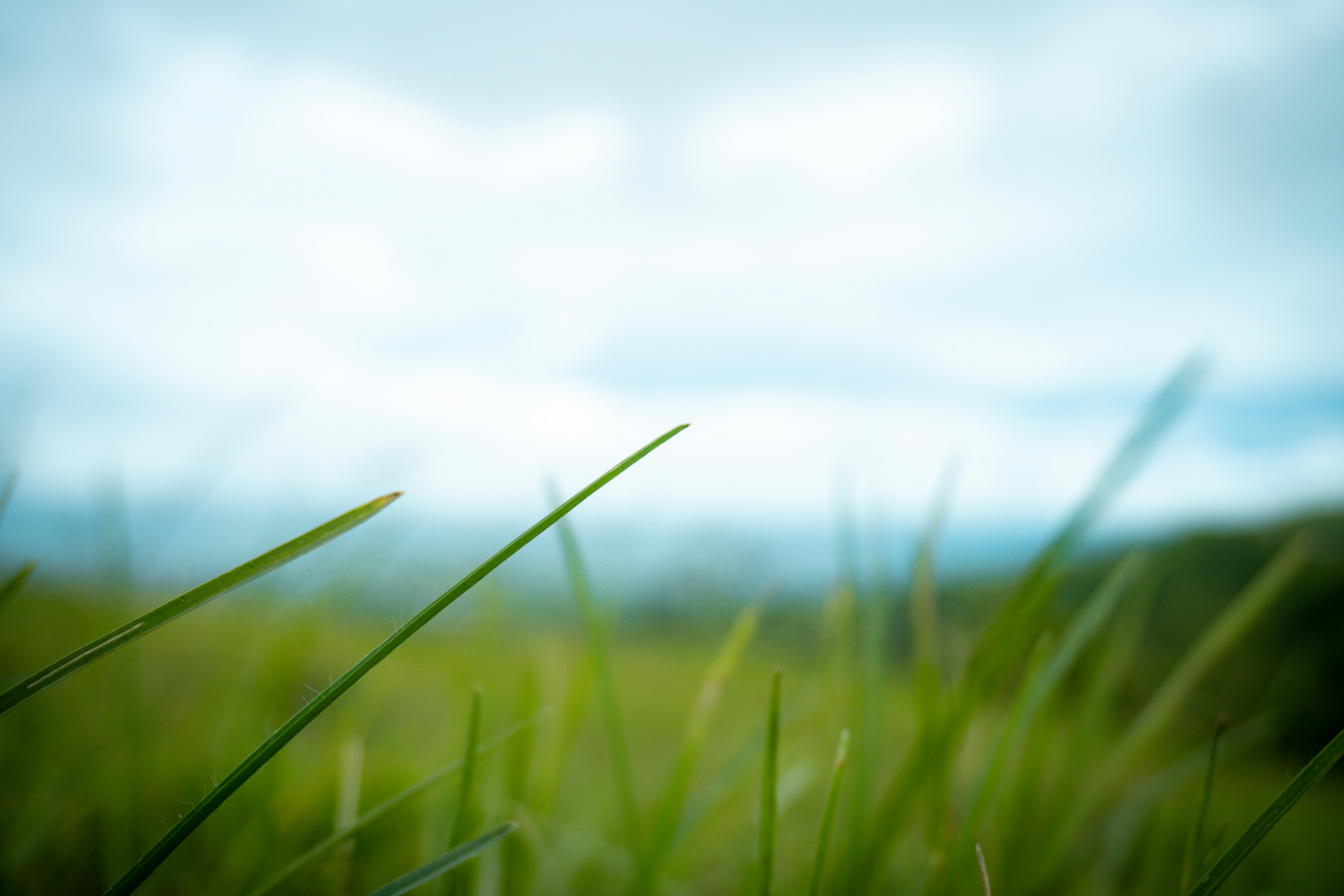 Photo by 123sani_qwe