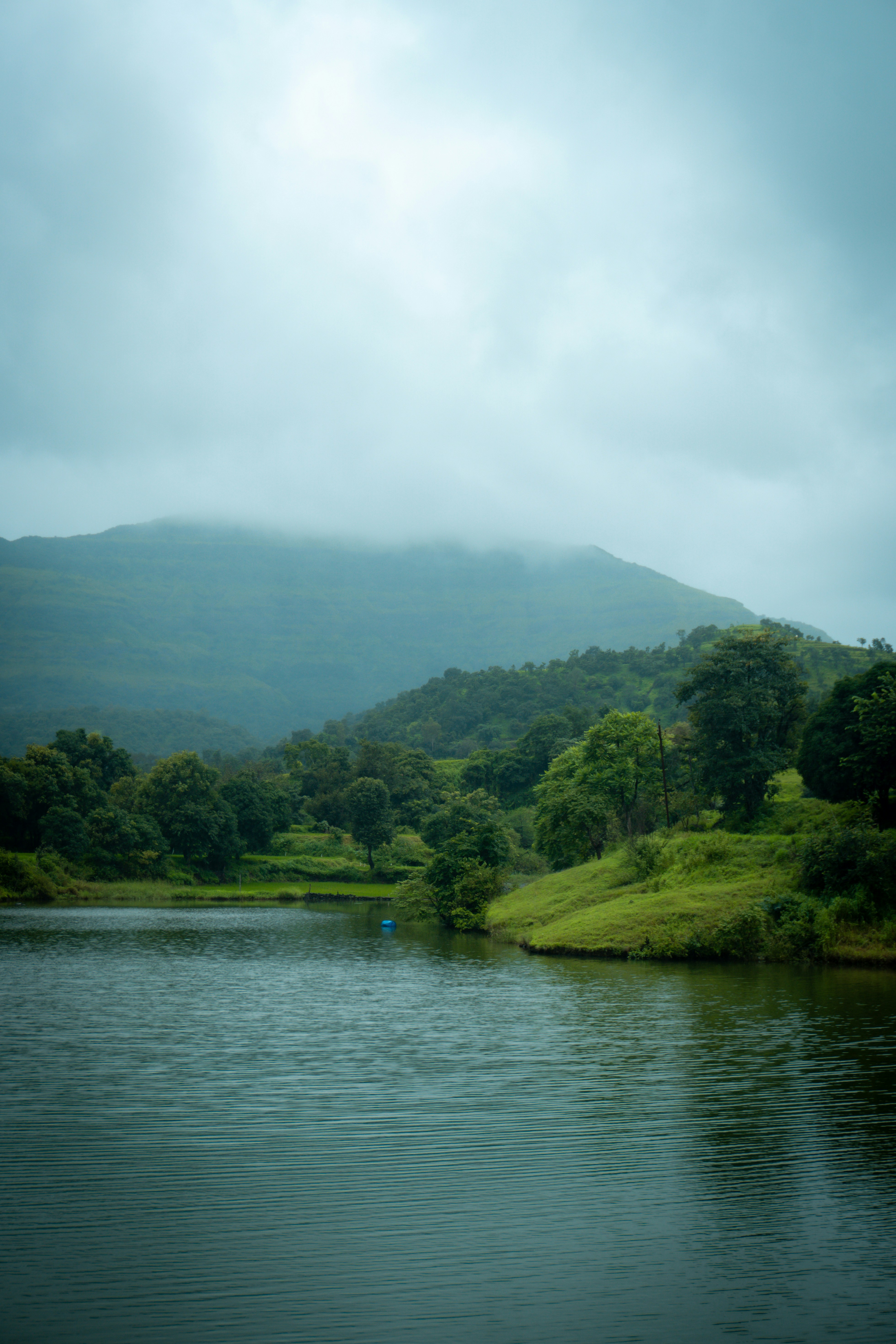 Photo by 123sani_qwe