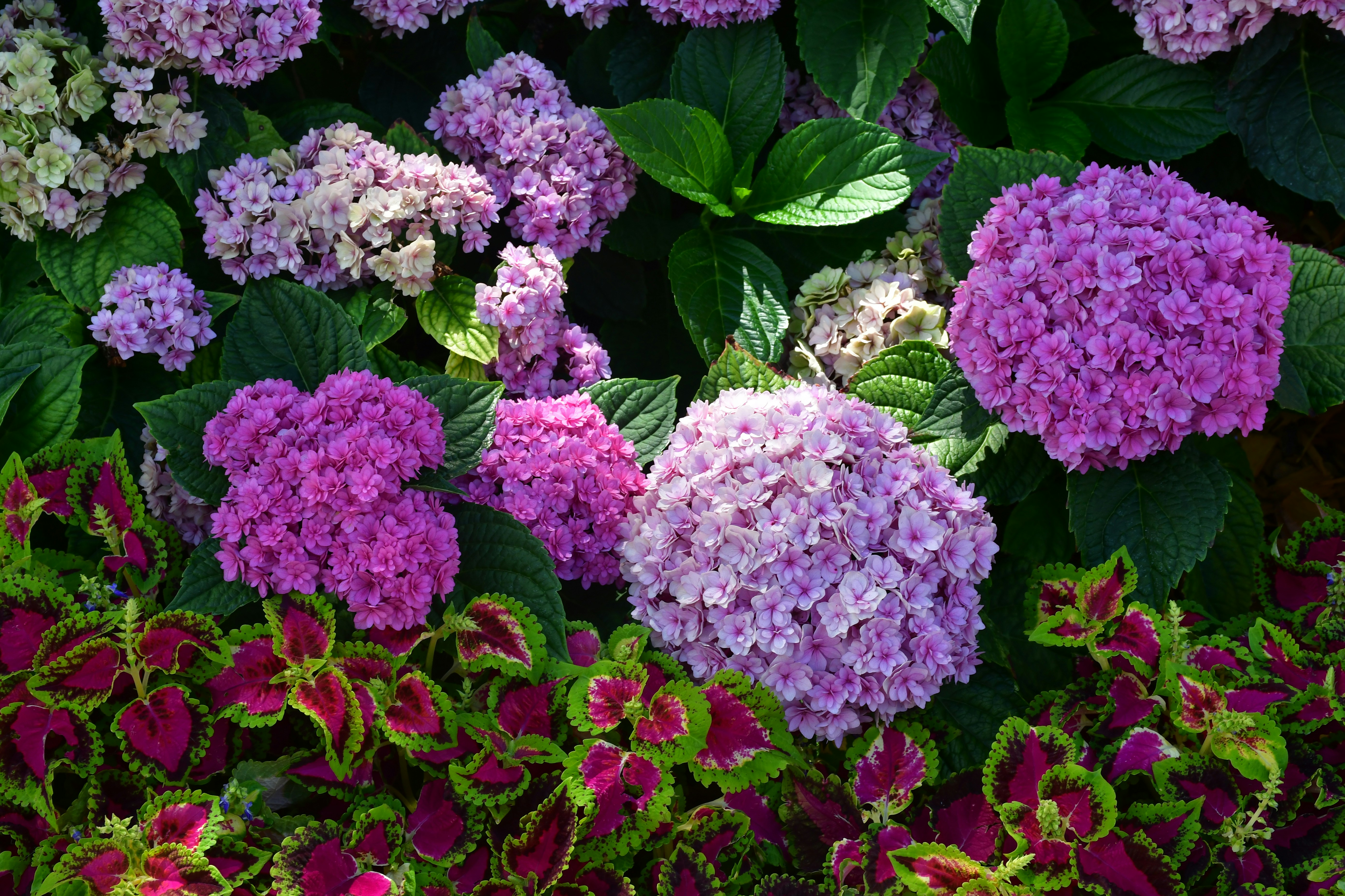 Photo by anna_kharkivska