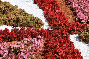 Colorful flower bed with mulch and rocks