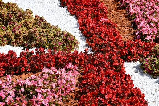 Colorful flower bed with mulch and rocks
