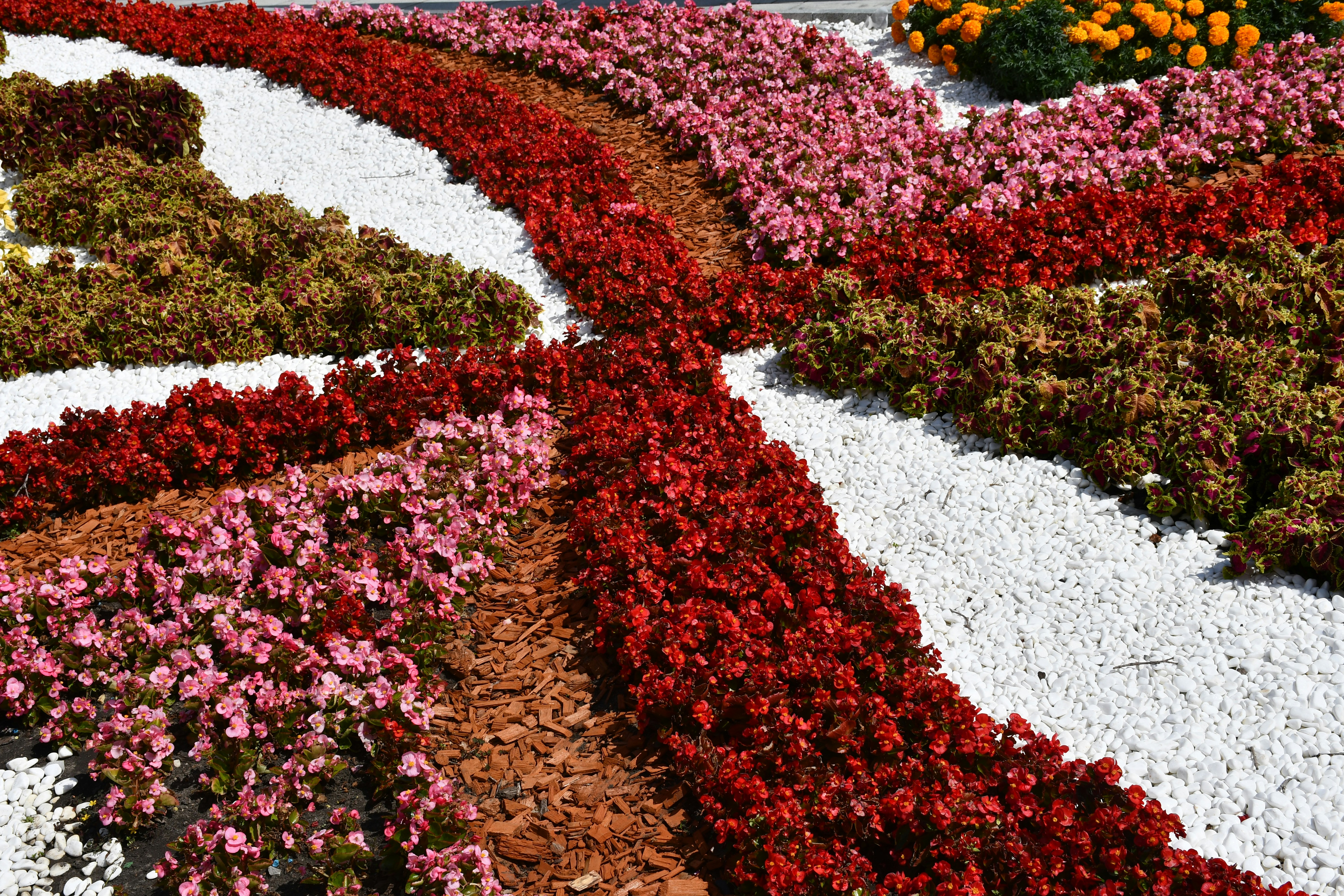 Conception paysagere d'un jardin contemporain